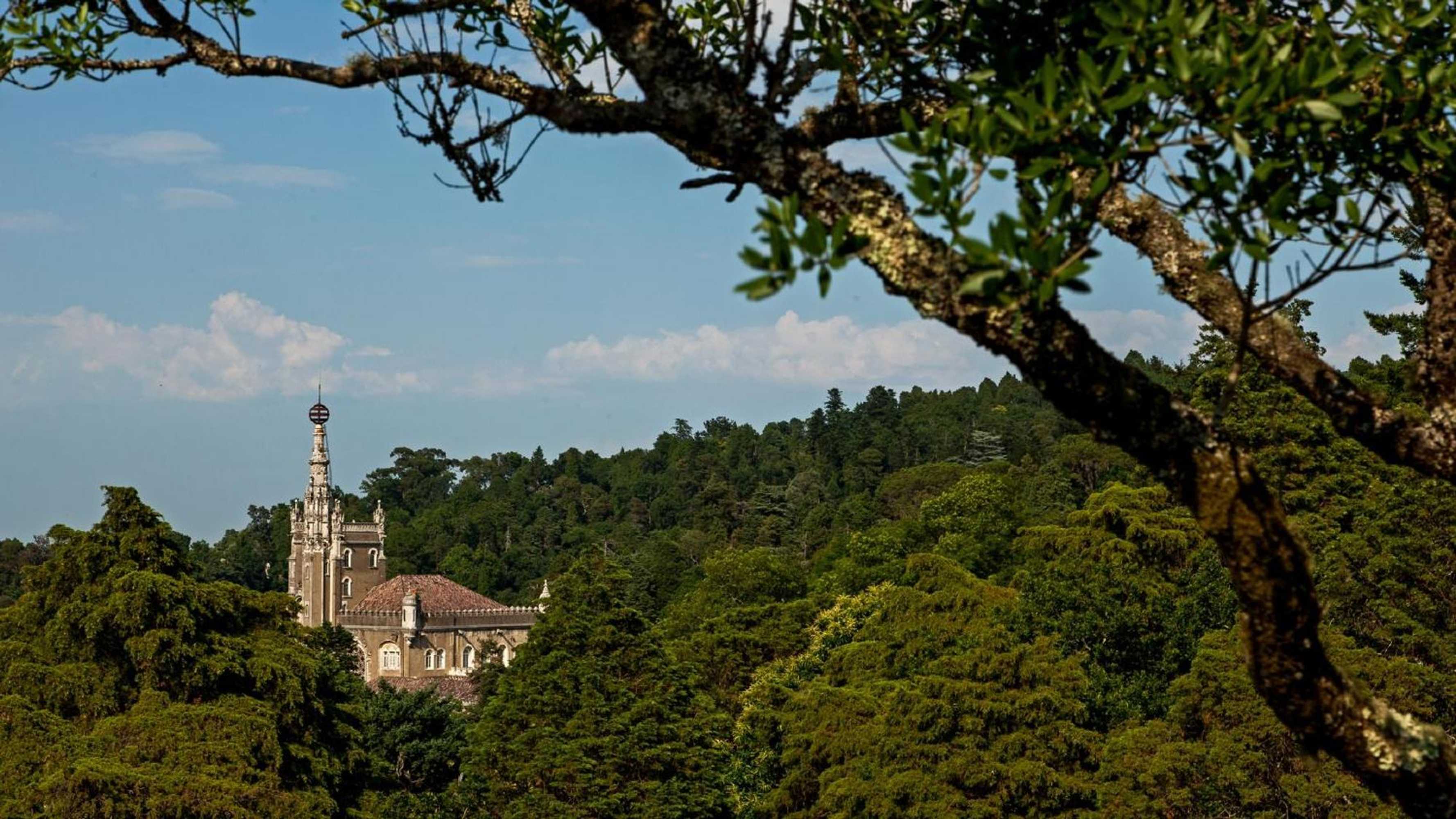 Gift card for Bussaco Palace Hotel Gift card for Bussaco Palace Hotel