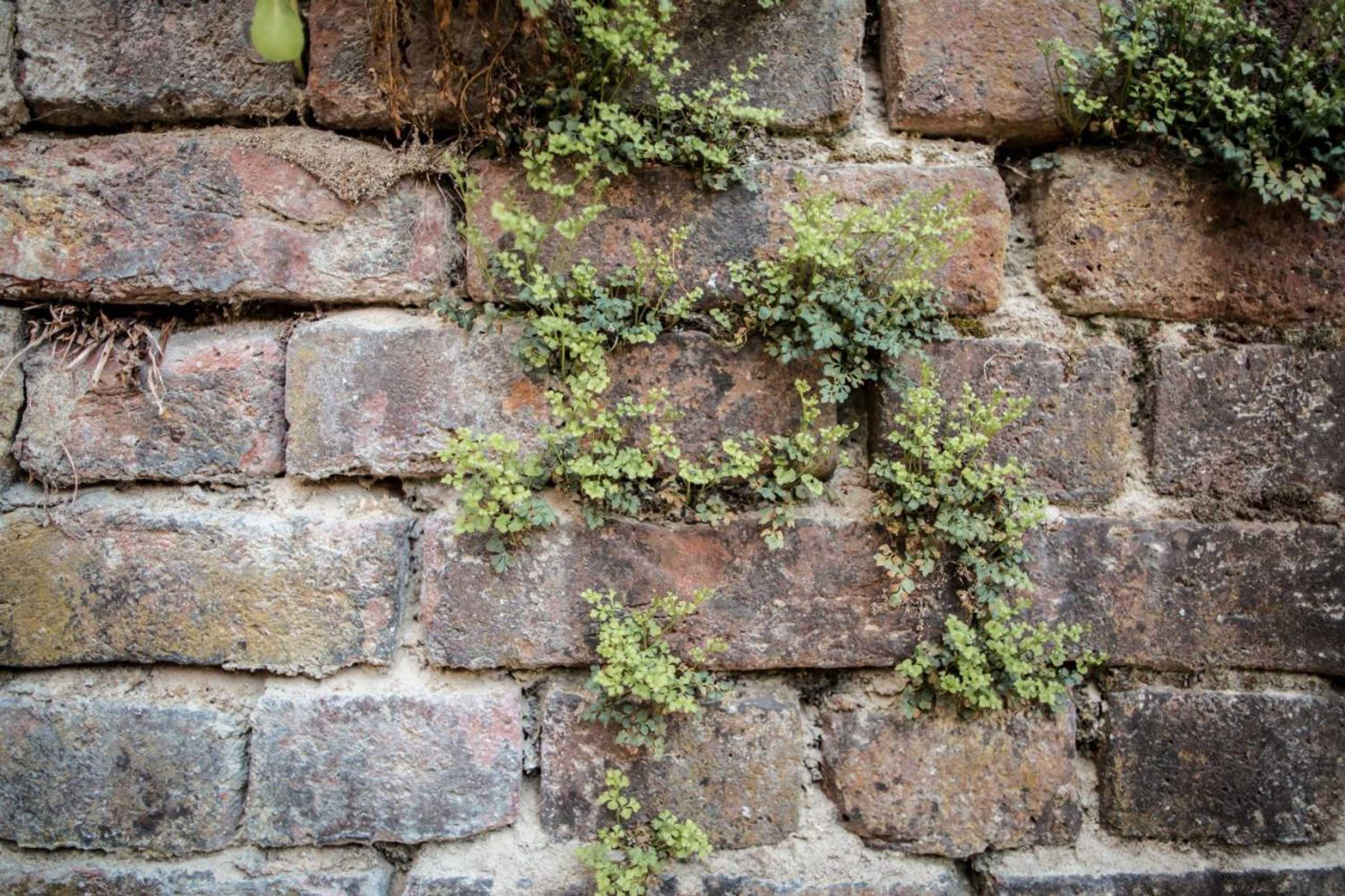 Gift card for Hotel Adler