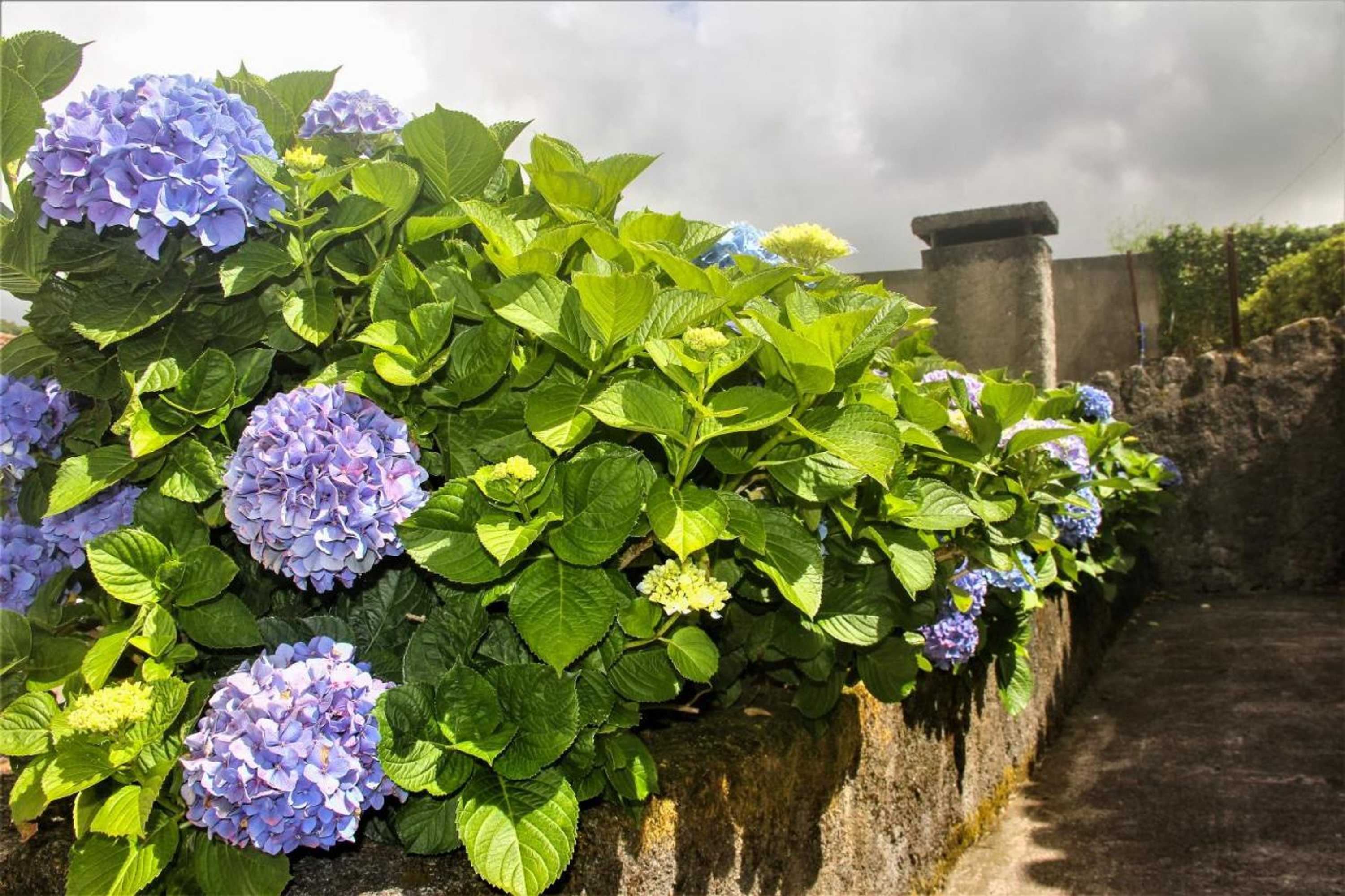 Gift card for Casa Inti / Inti House Furnas