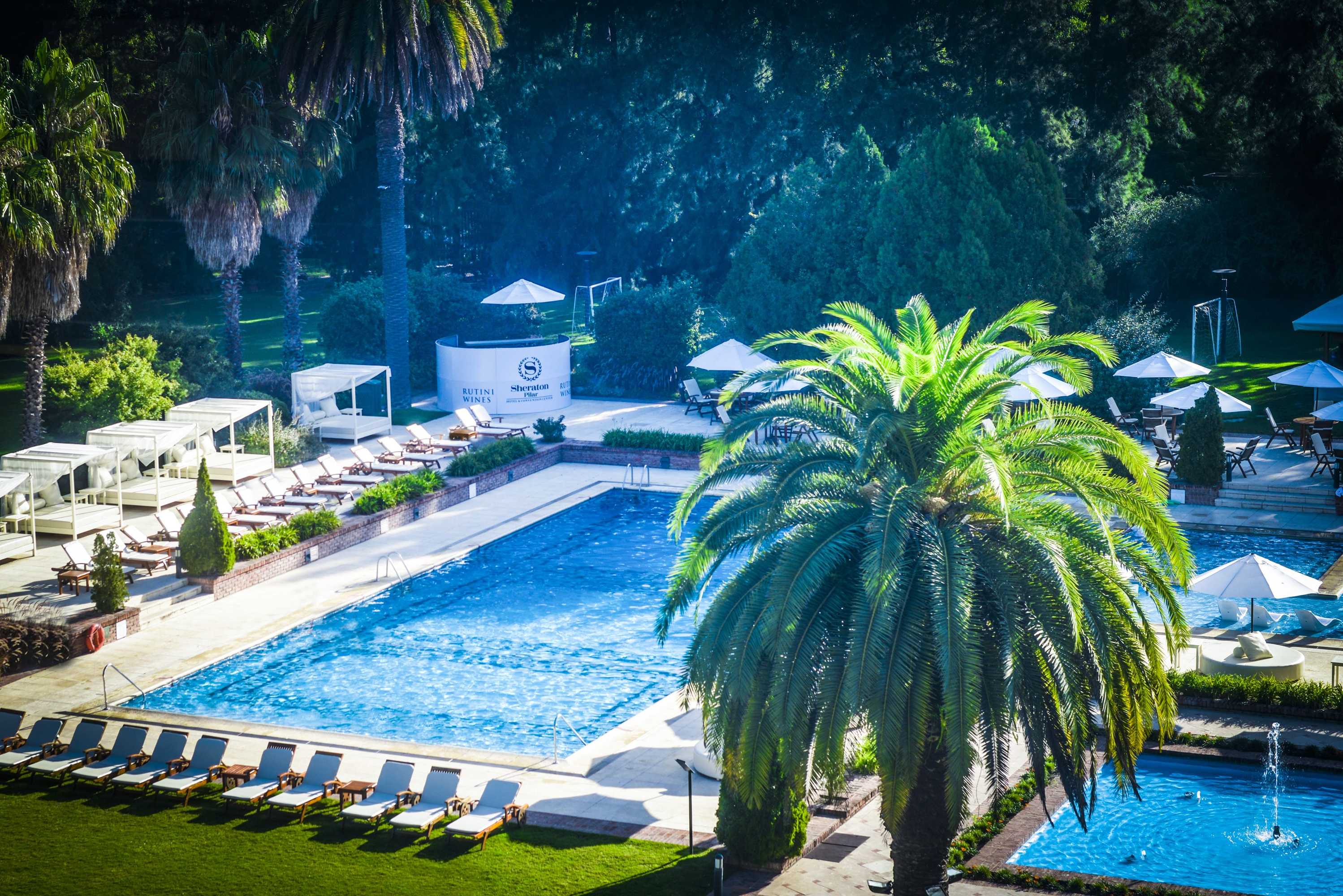 Gift card for Sheraton Pilar Hotel And Convention Center Gift card for Sheraton Pilar Hotel And Convention Center