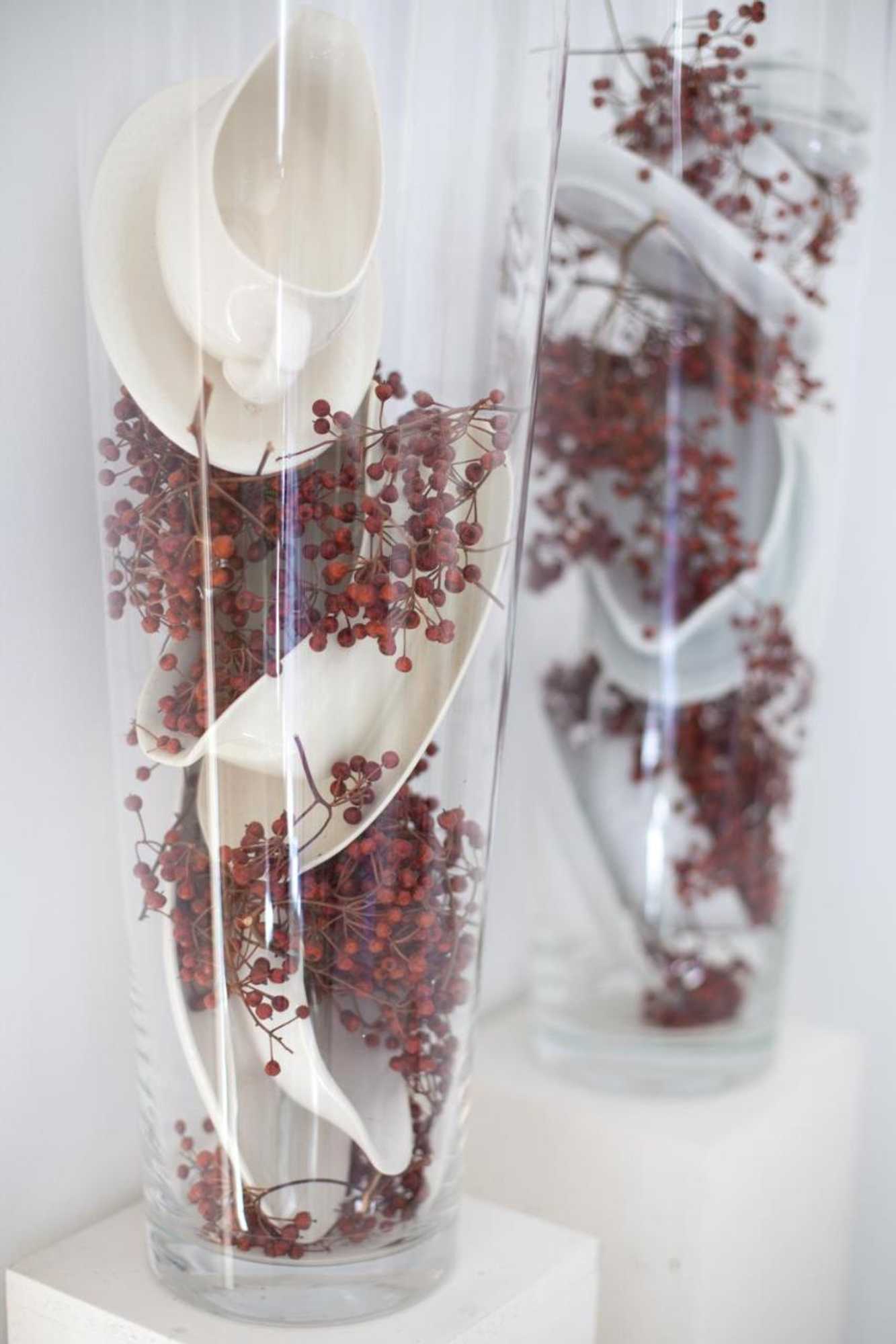 Gift card for Darley's