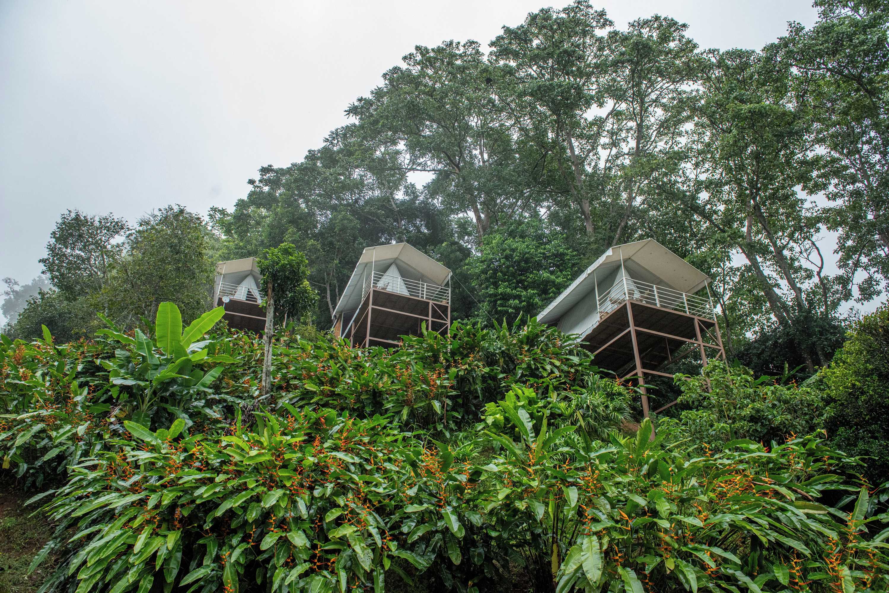 Gift card for Quimera Hotel