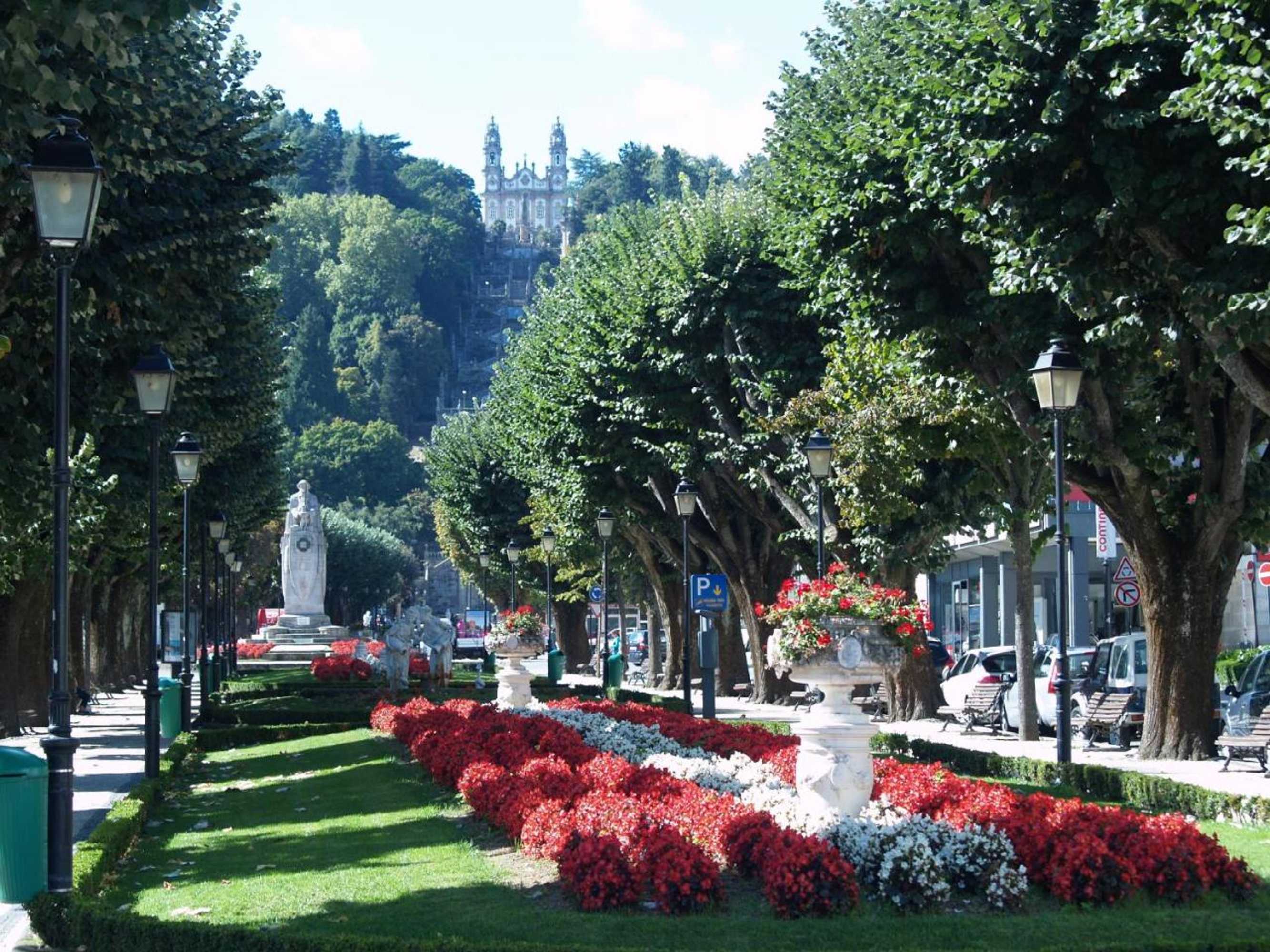 Gift card for Camping Lamego Douro Valley Gift card for Camping Lamego Douro Valley