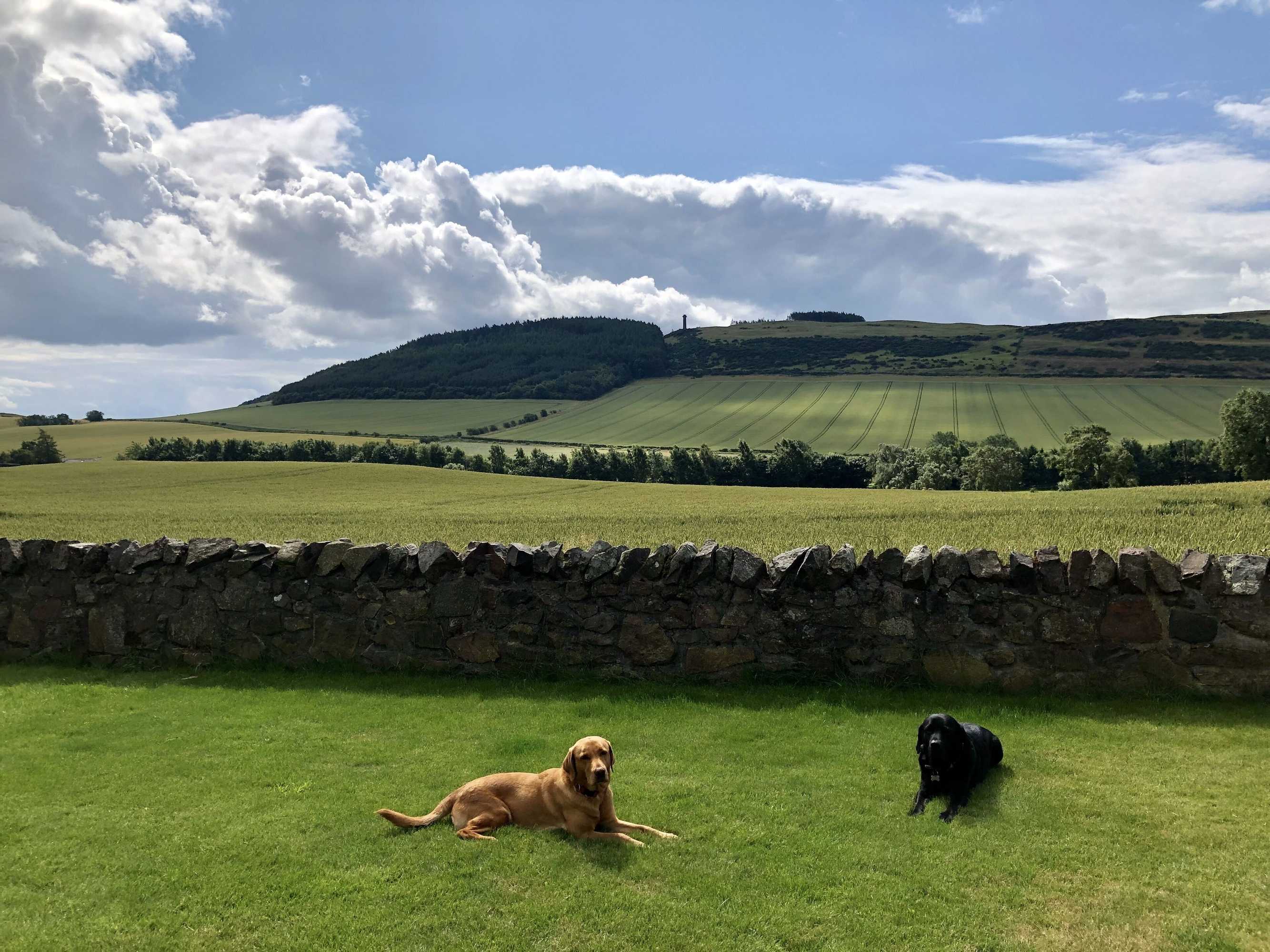 Gift card for East Cottage, Parbroath Farm Near Cupar in Fife