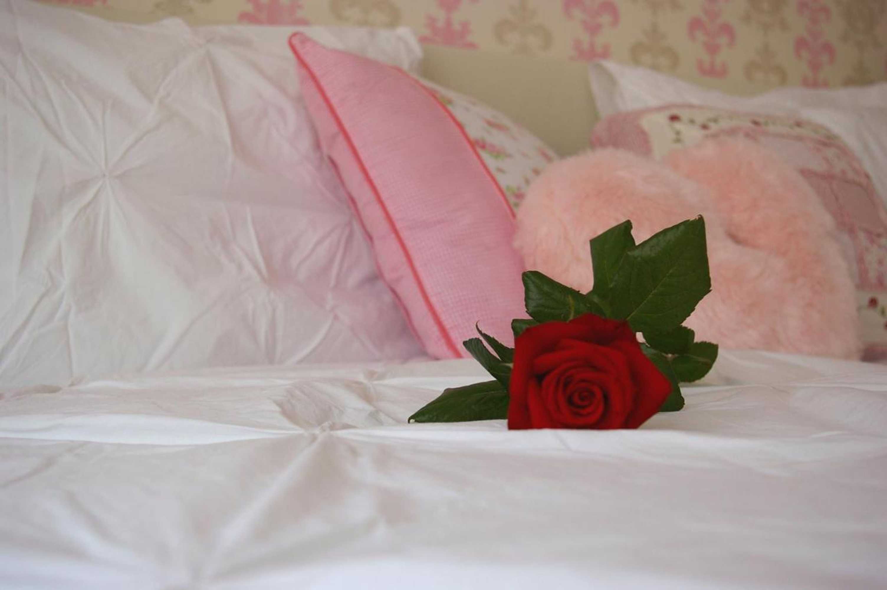 Gift card for Villa Bbb