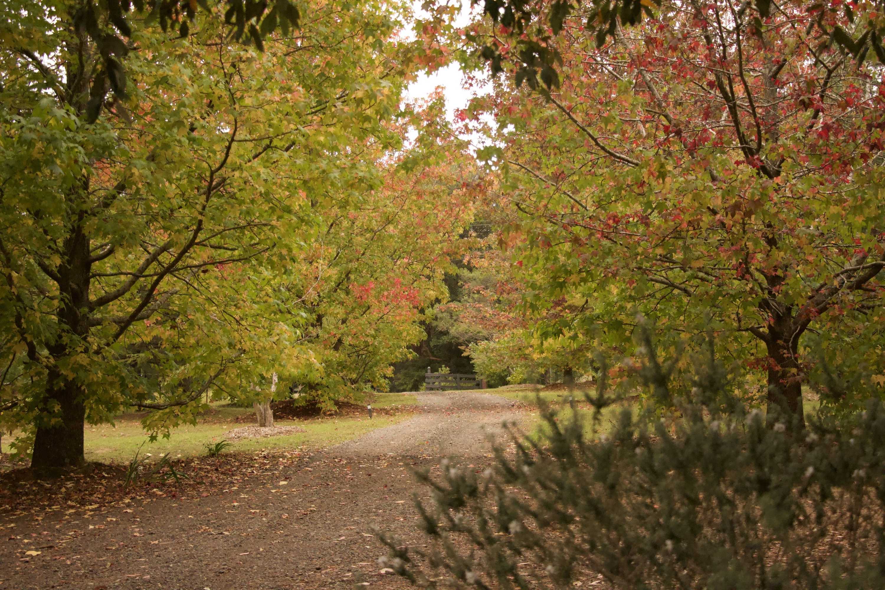 Gift card for The Rustic Spirit