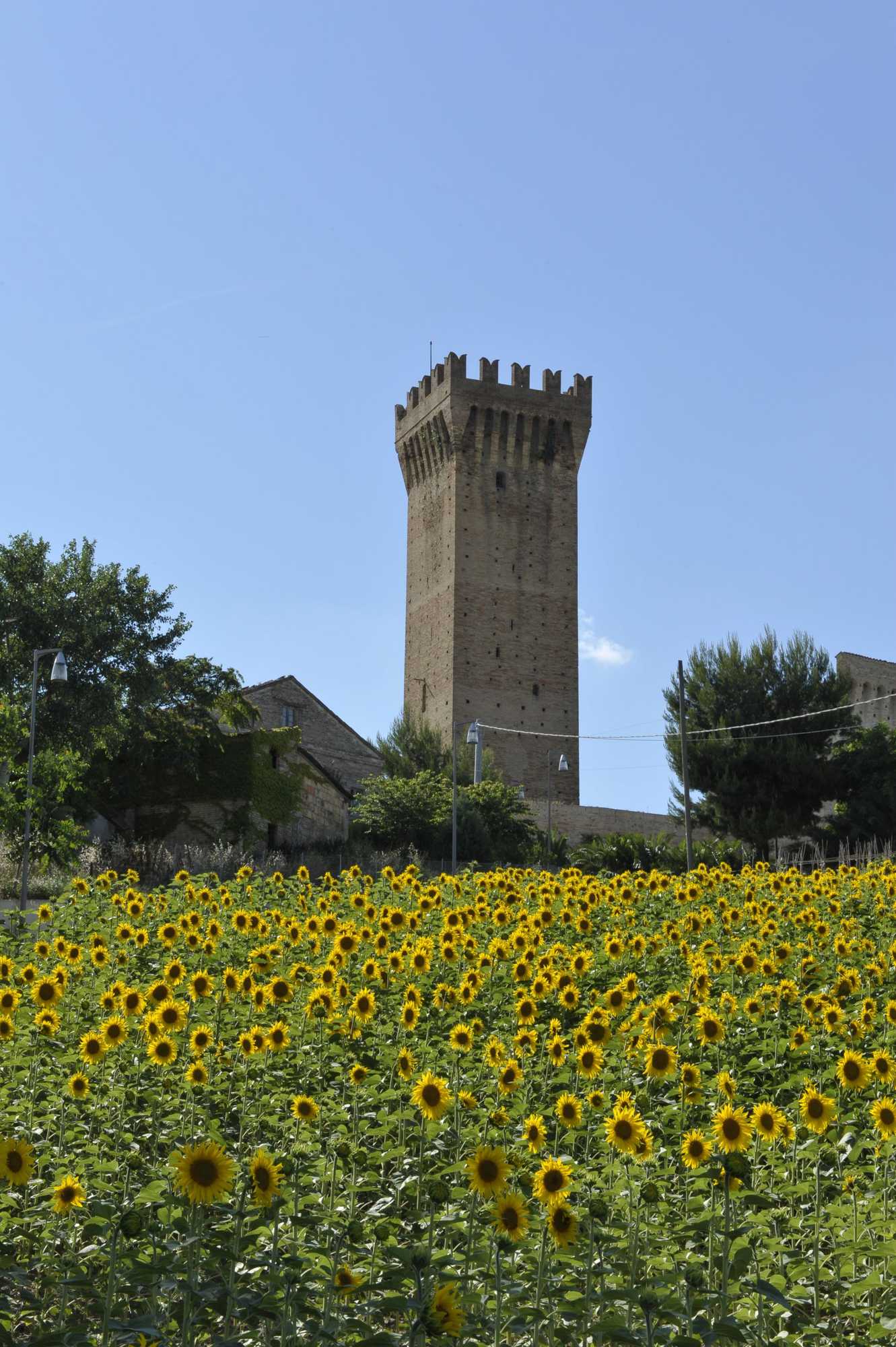 Gift card for Al Crepuscolo Agriturismo Gift card for Al Crepuscolo Agriturismo