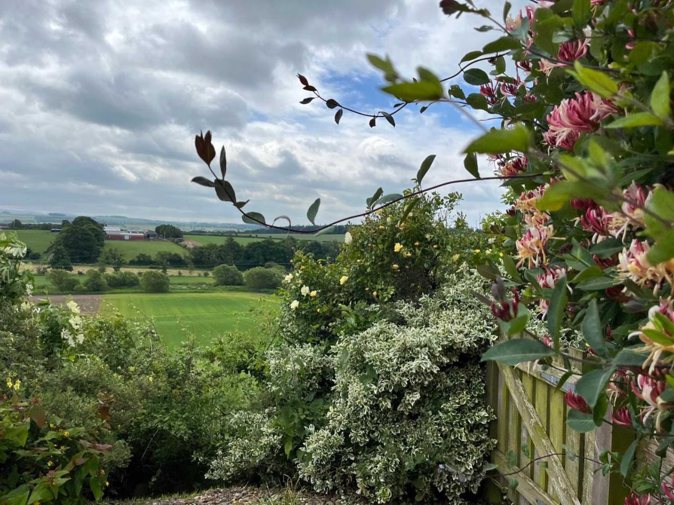 Gift card for Cocklekitty Cottage