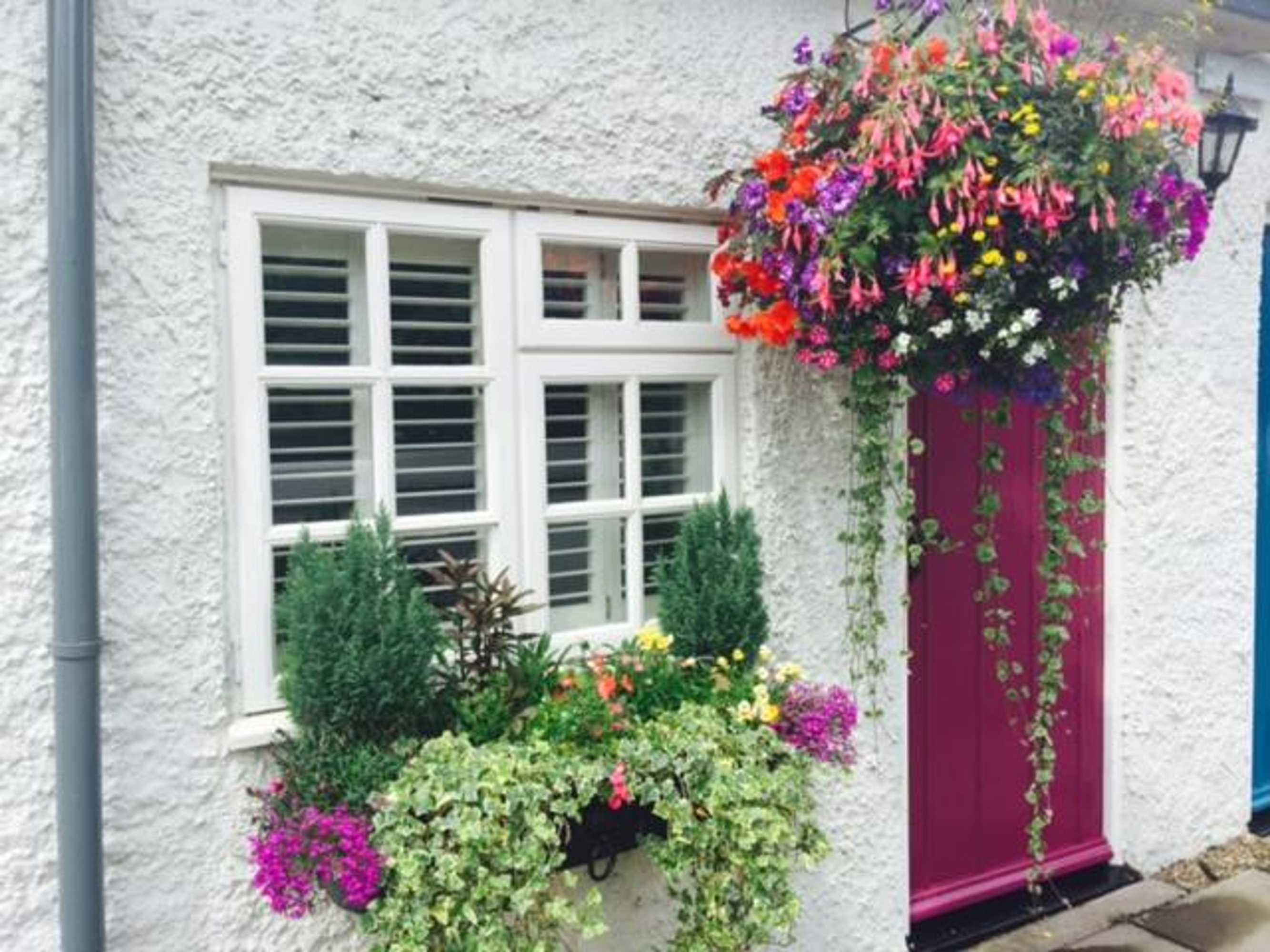 Gift card for The Swan Inn