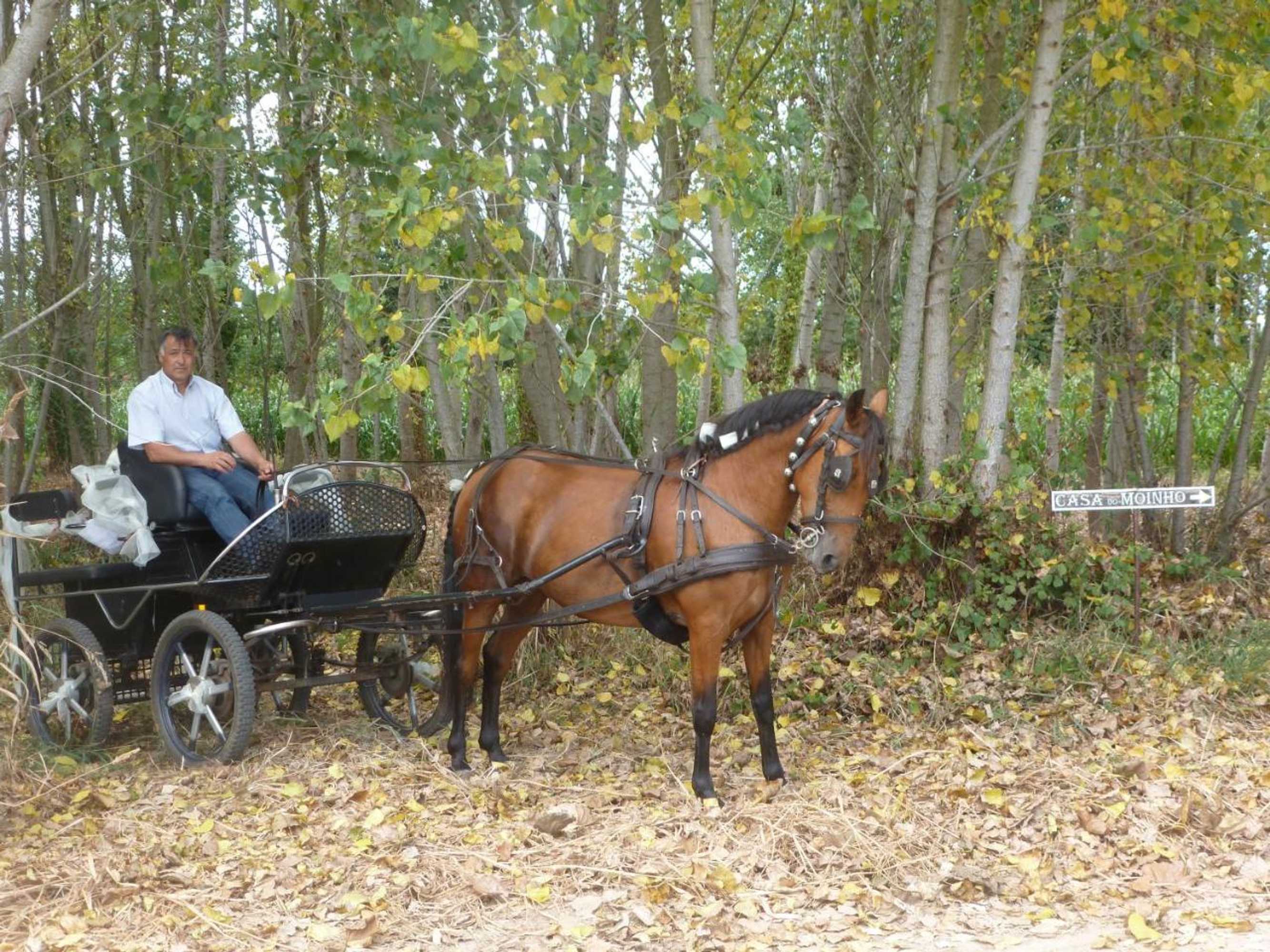 Gift card for Casa do Moinho