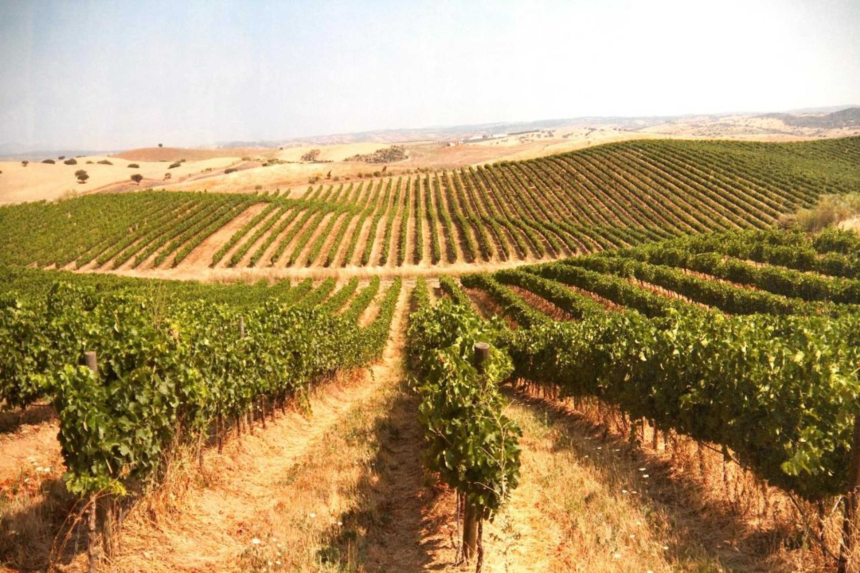 Gift card for Casa do Colegio Velho