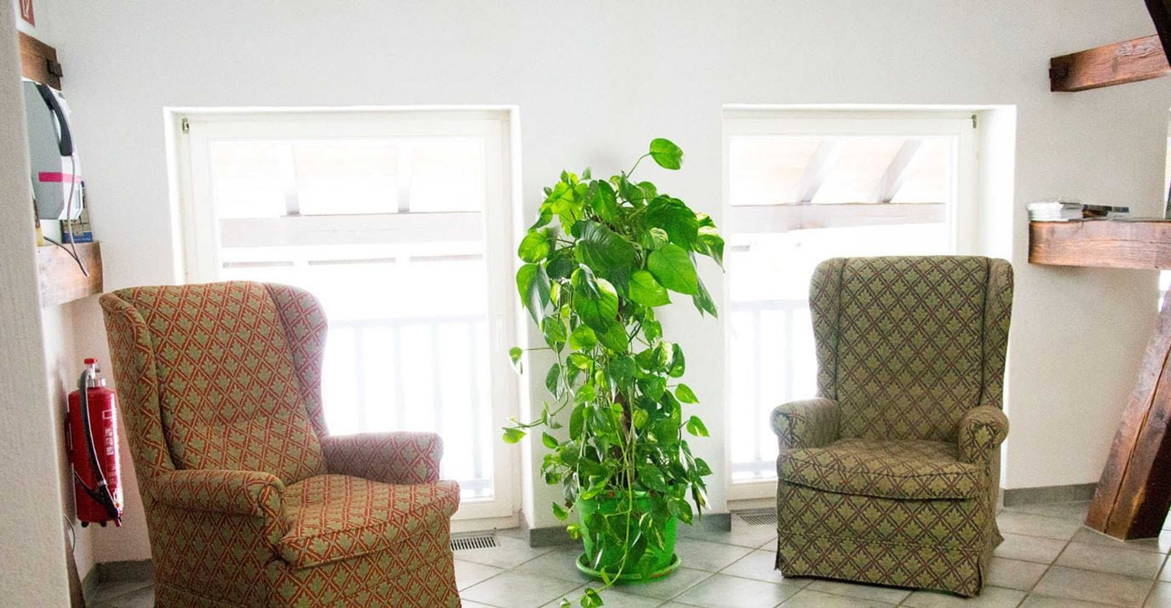 Gift card for Schnyder Ranch