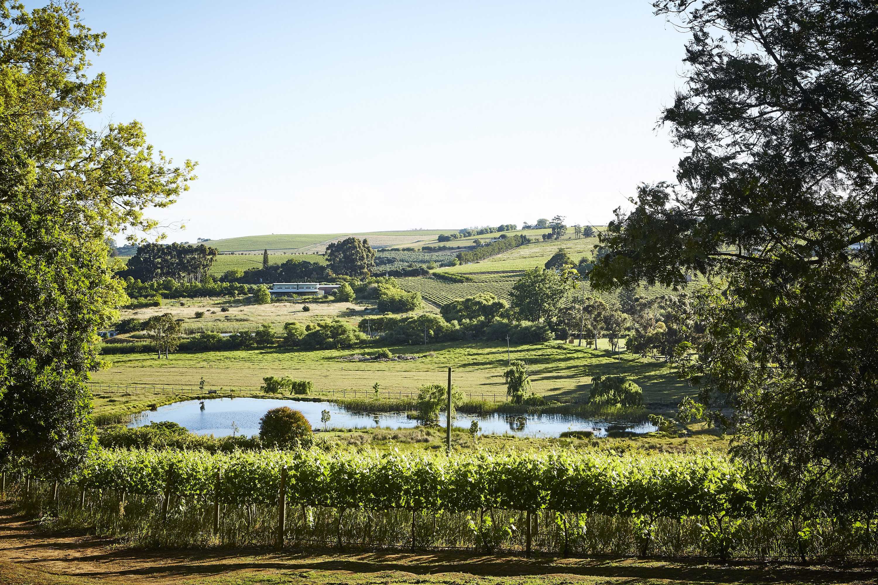 Gift card for The Devon Valley Hotel