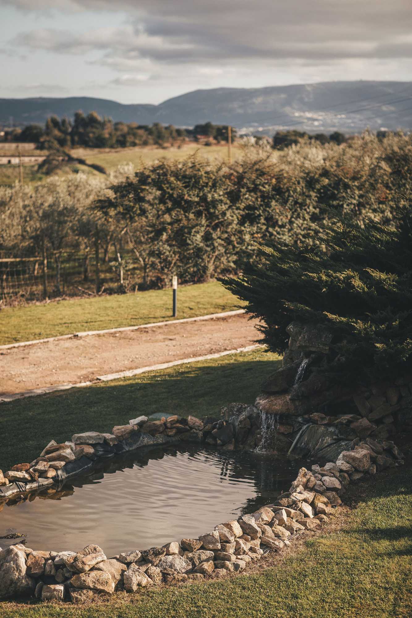 Gift card for Vale Pisco