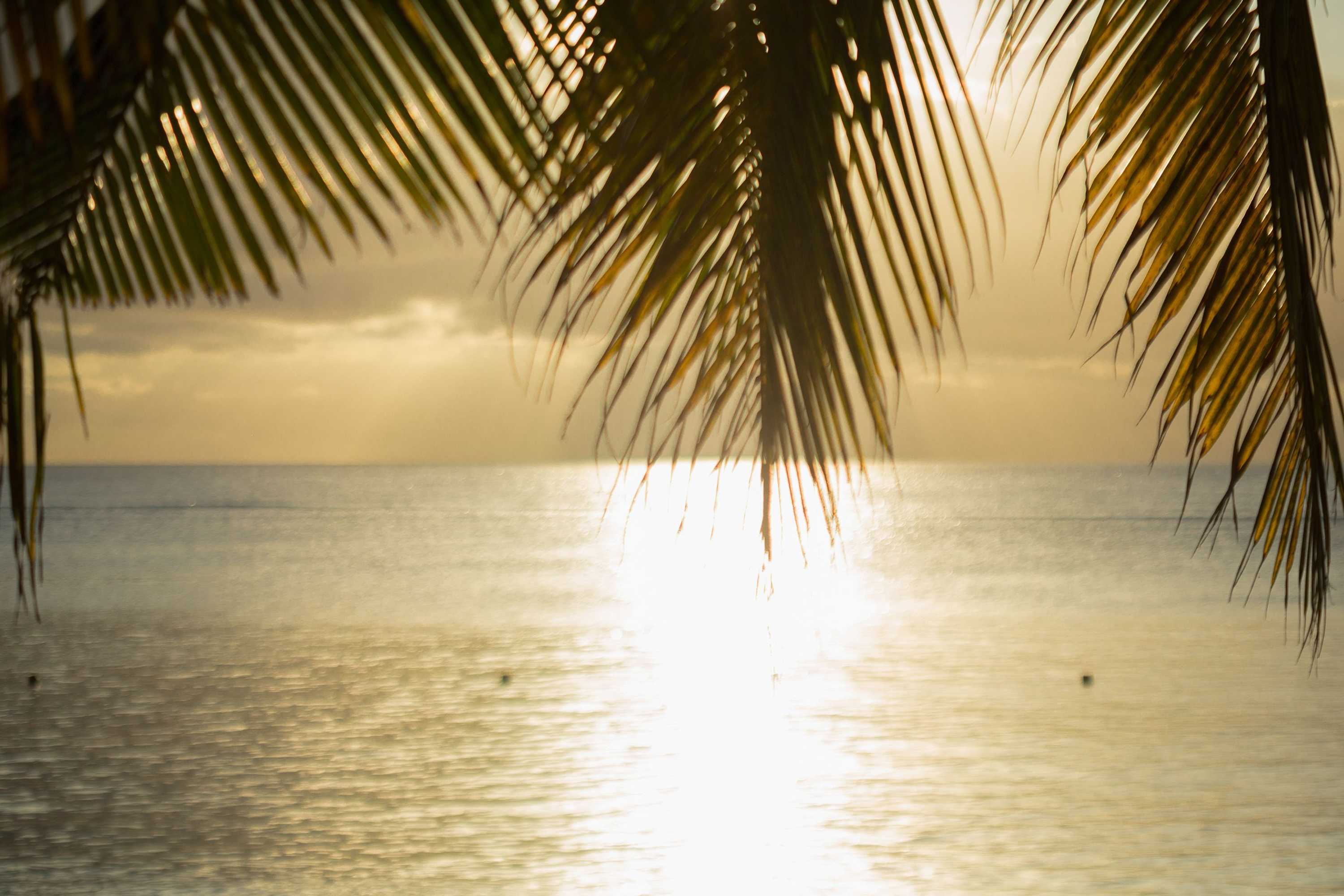 Gift card for Victoria Beachcomber Resort & Spa Gift card for Victoria Beachcomber Resort & Spa