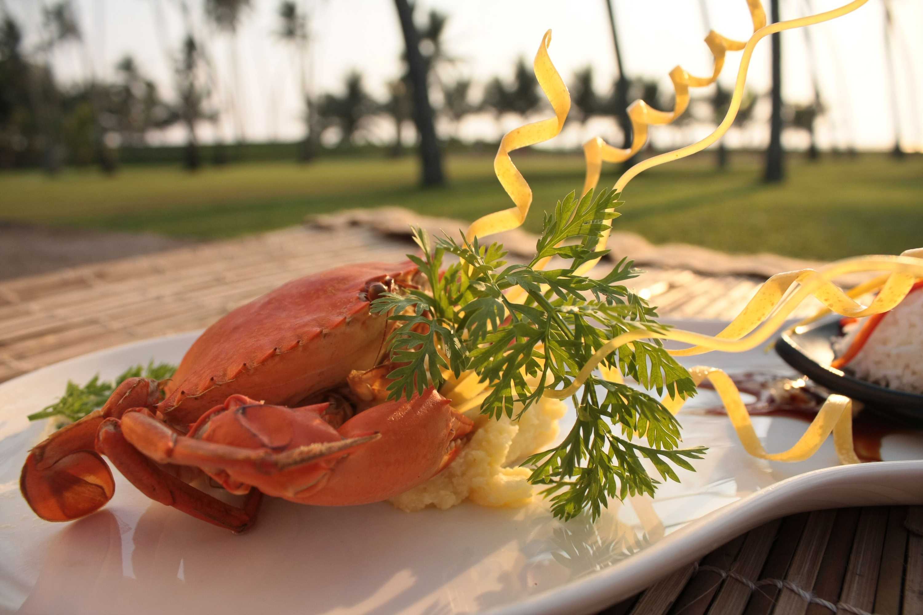 Gift card for The Blue Water - Geoffrey Bawa Heritage Resort Hotel