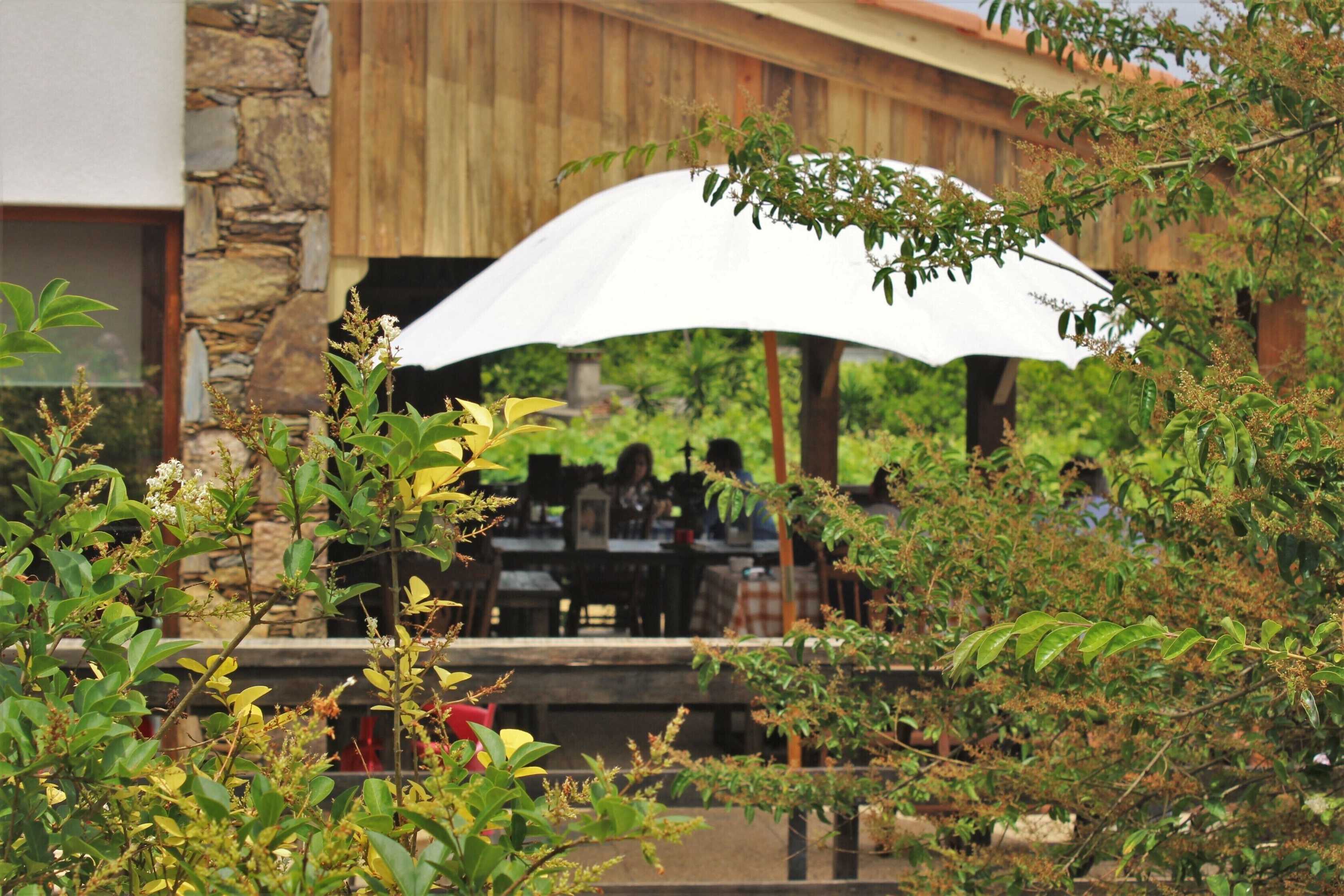 Gift card for Toca Dos Lobos - Ecological Cabin Gift card for Toca Dos Lobos - Ecological Cabin