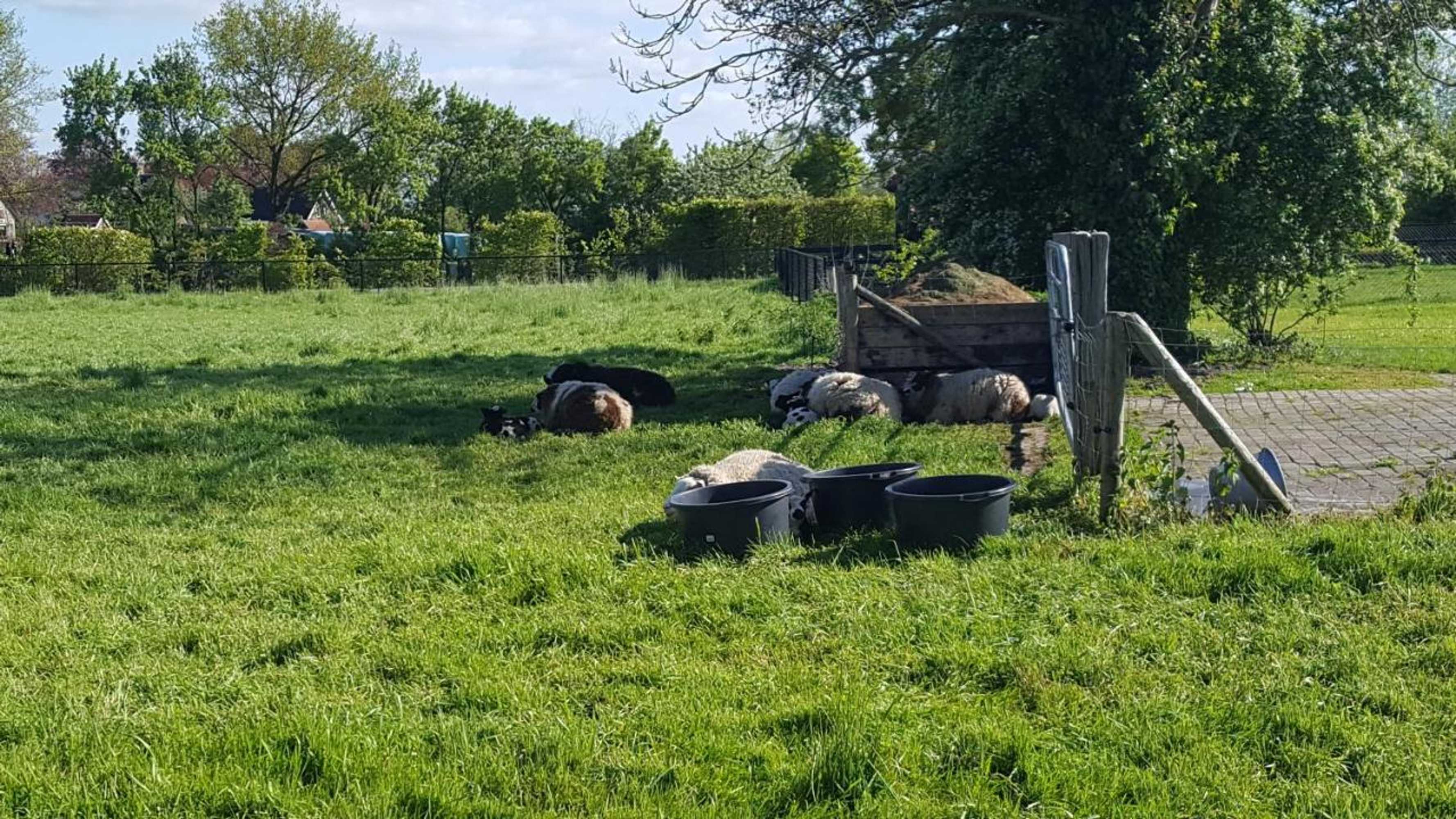 Gift card for Zalk Blijven Slapen