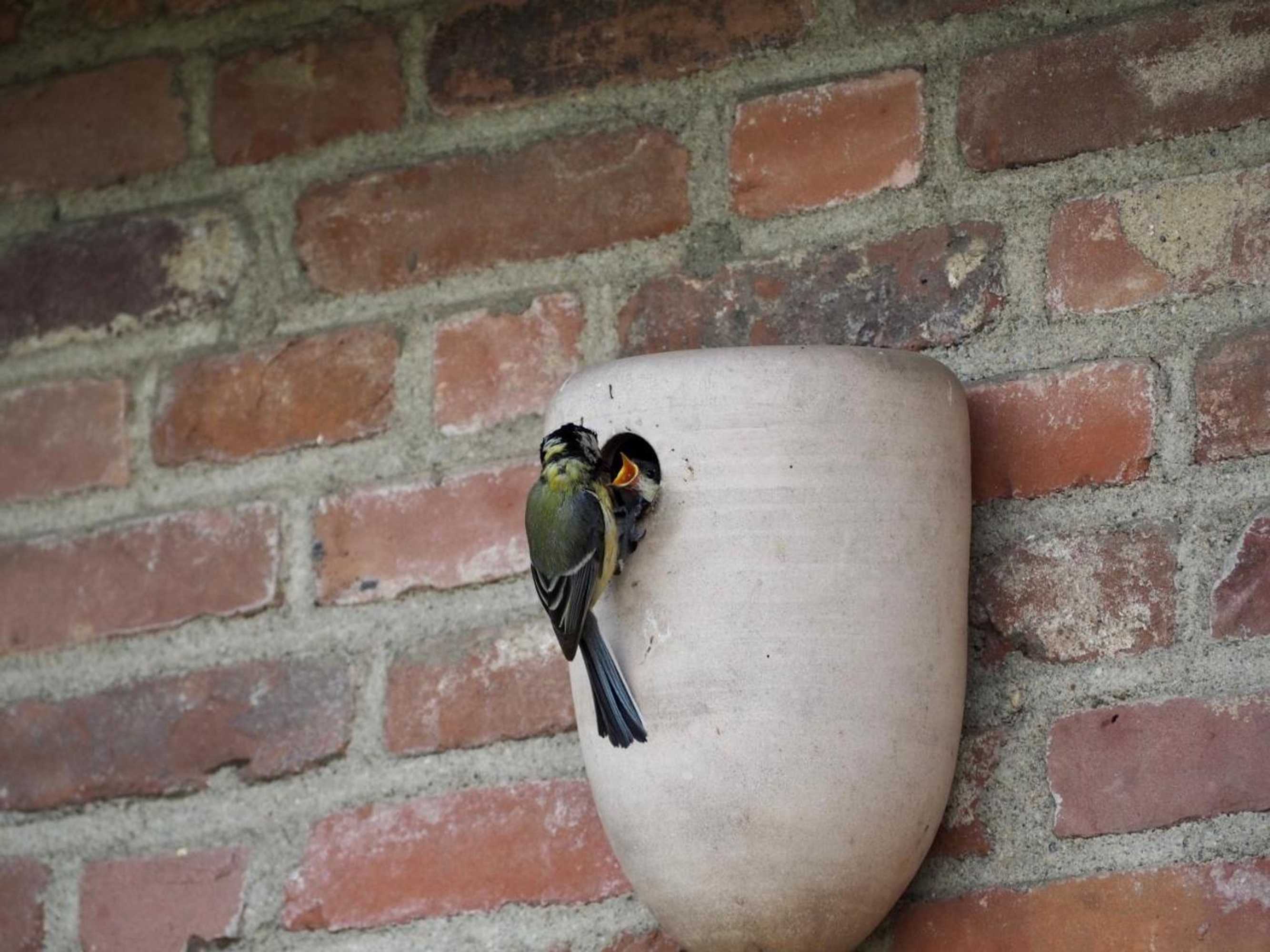 Gift card for Bnb De Peelvos