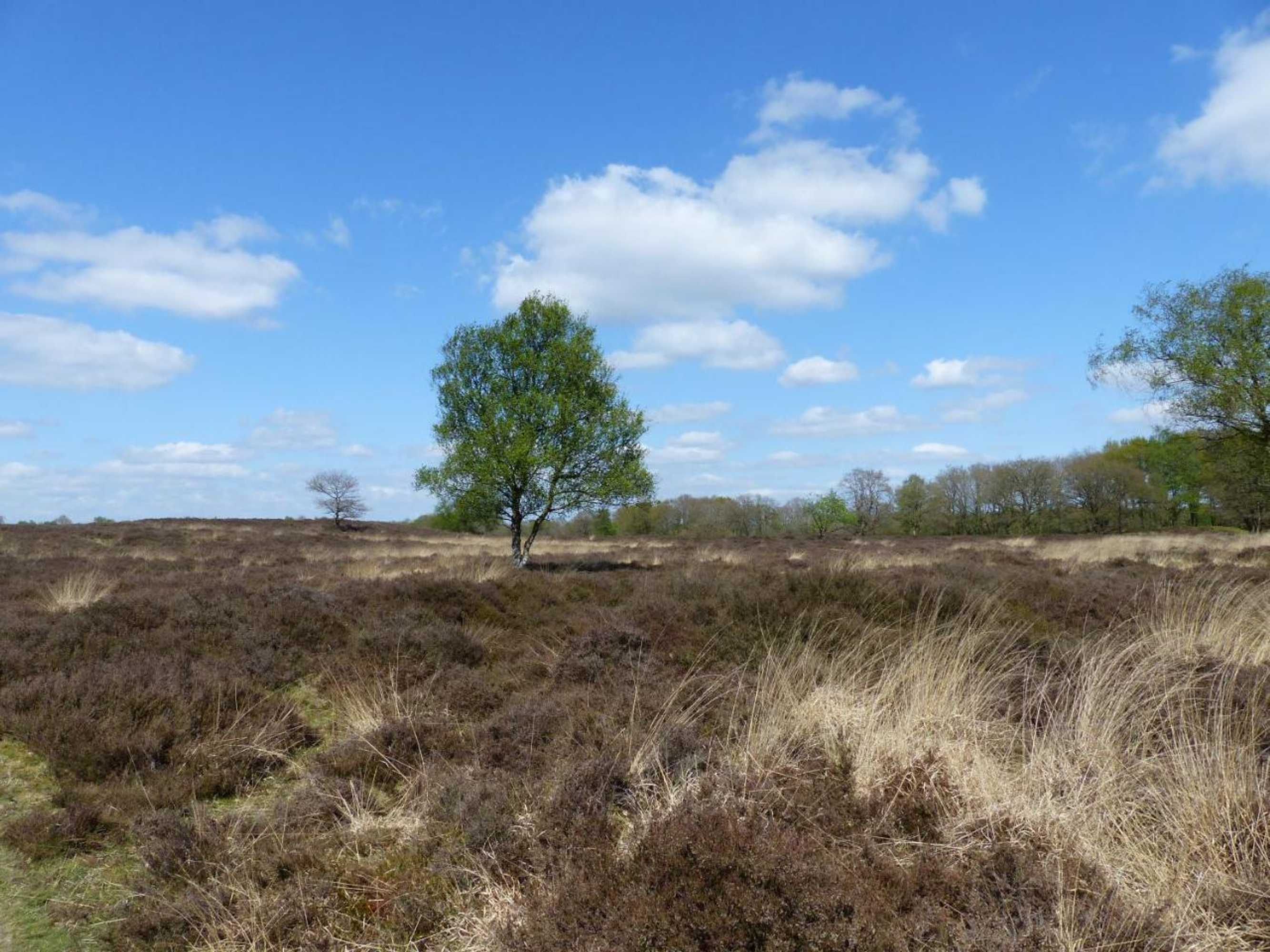 Gift card for Herberg De Eexter Os