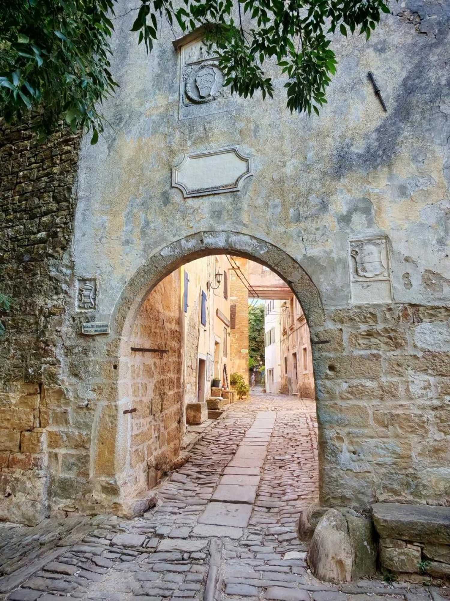 Gift card for Villa San Vito - Tilia, Olea, Rosmarinus