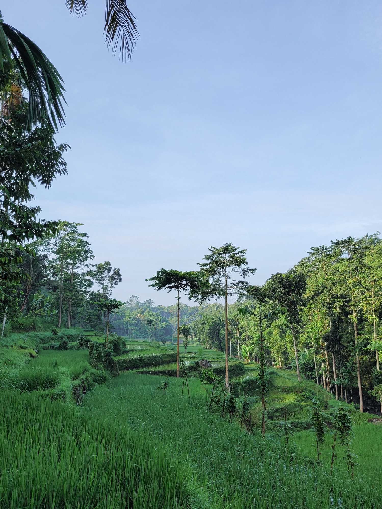 Gift card for Les Rizieres Lombok