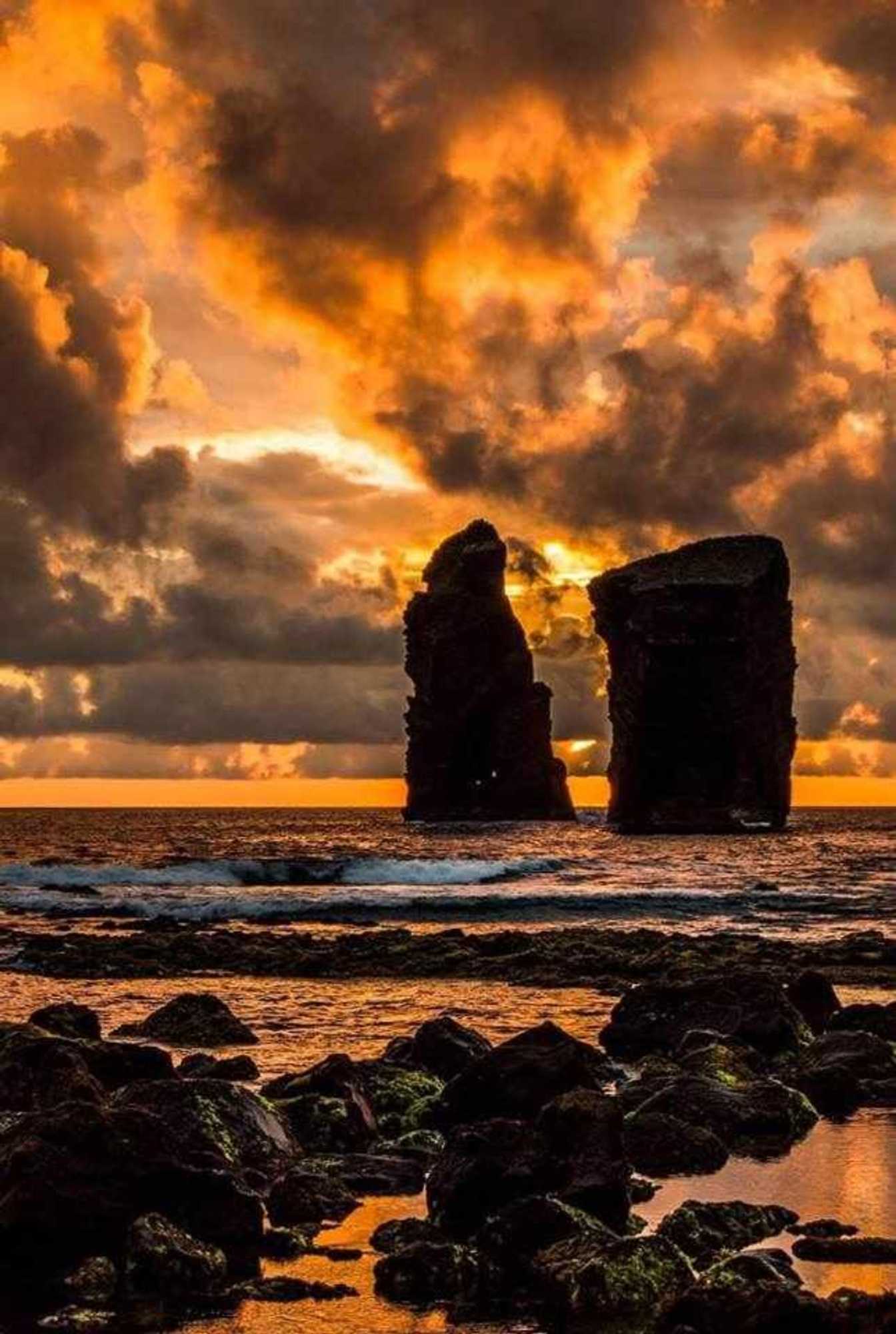 Gift card for Vivenda Xavier