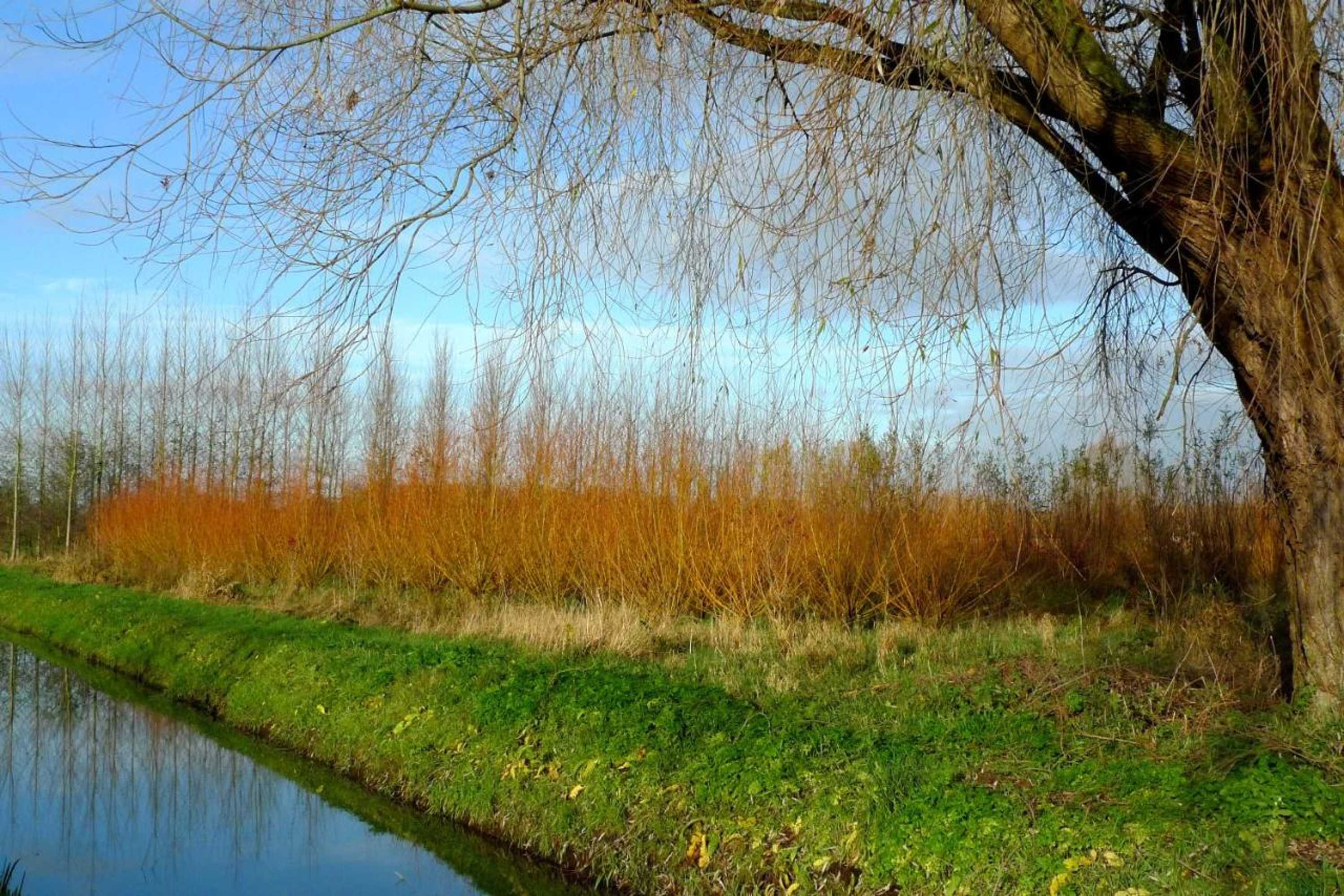 Gift card for Weibos Bed & Breakfast