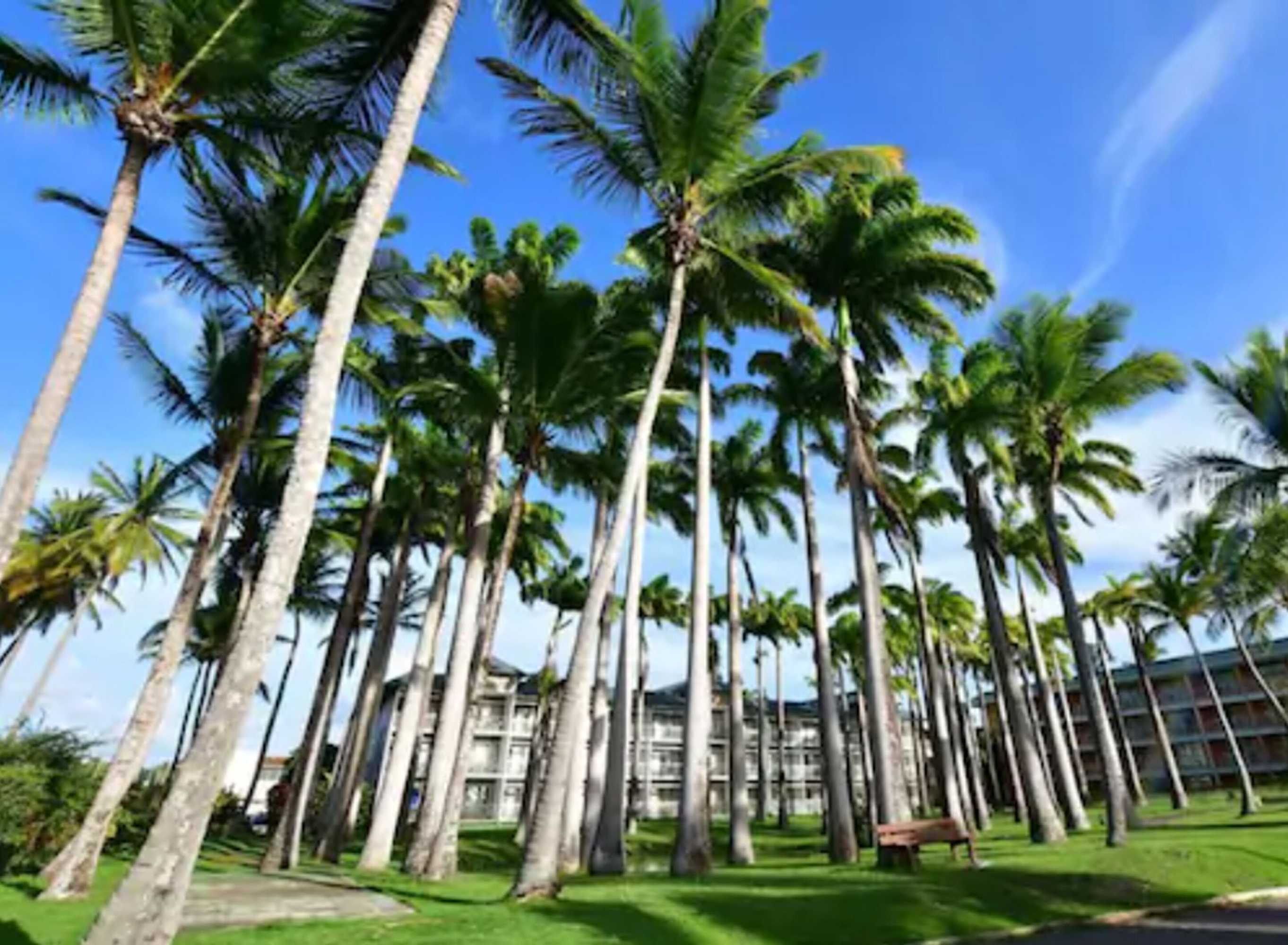 Gift card for Hotel Bakoua Les Trois Ilets Gift card for Hotel Bakoua Les Trois Ilets