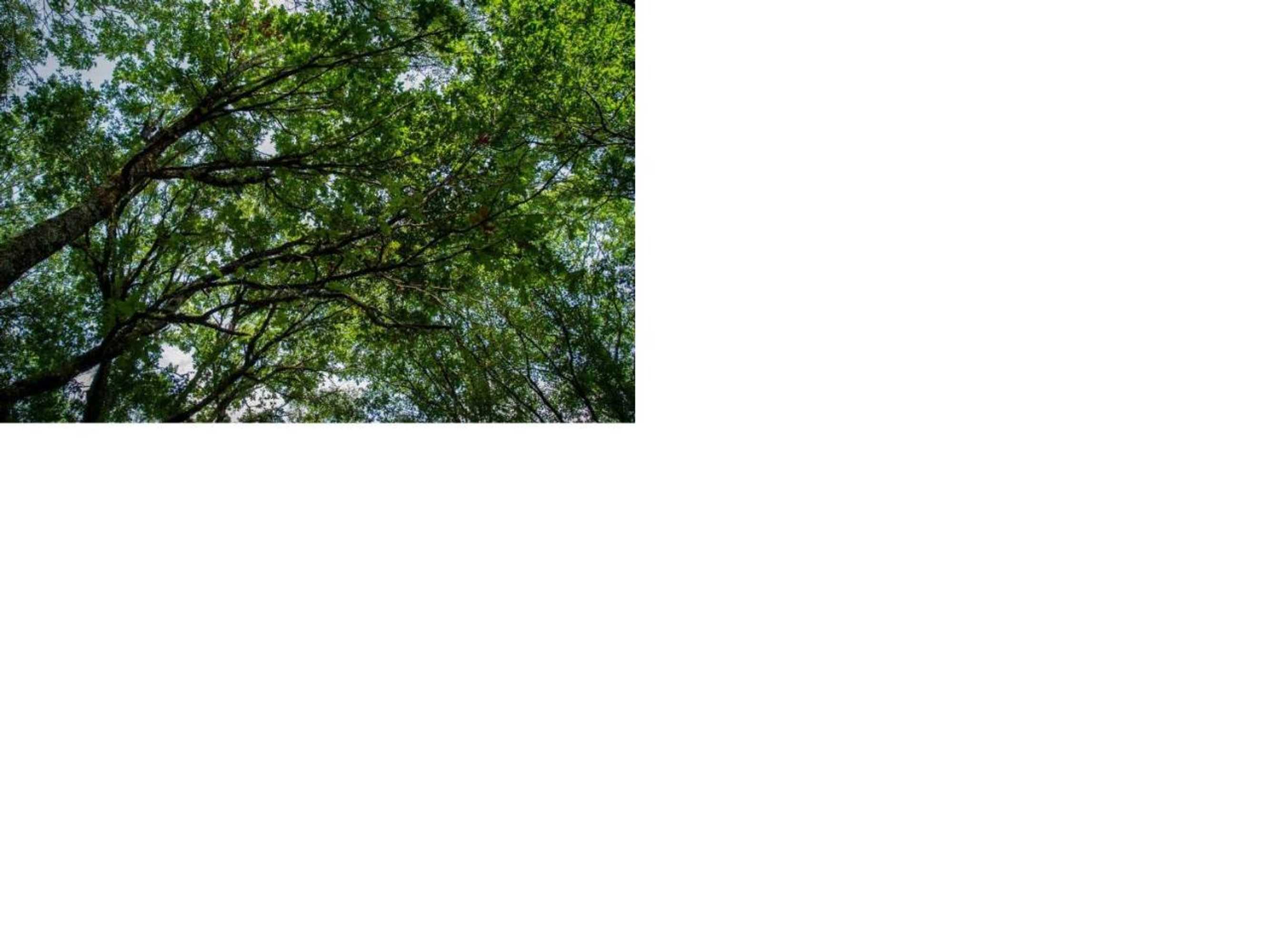 Gift card for Isatour Casa na Serra