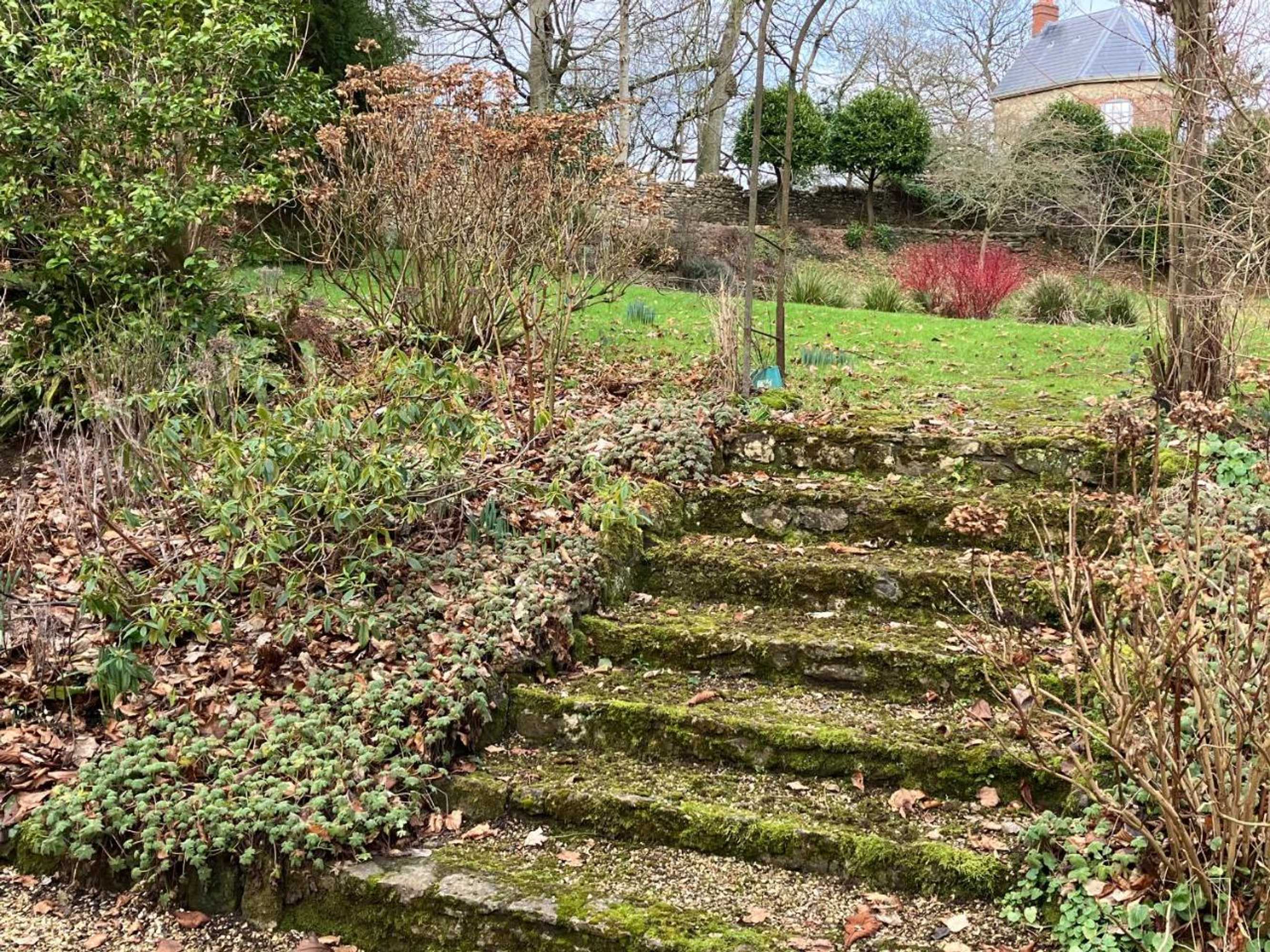 Gift card for The Folly at Castlebridge