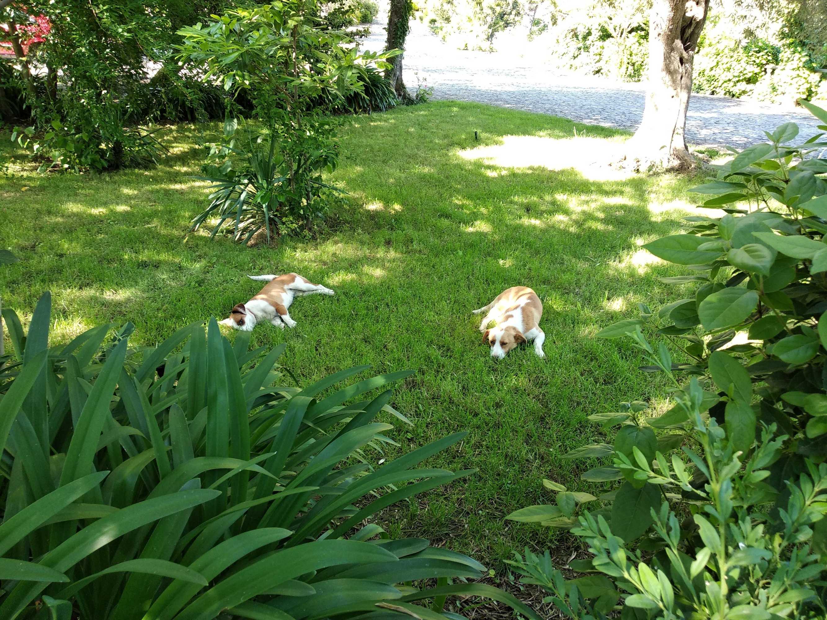 Gift card for Quinta da Telheira Gift card for Quinta da Telheira