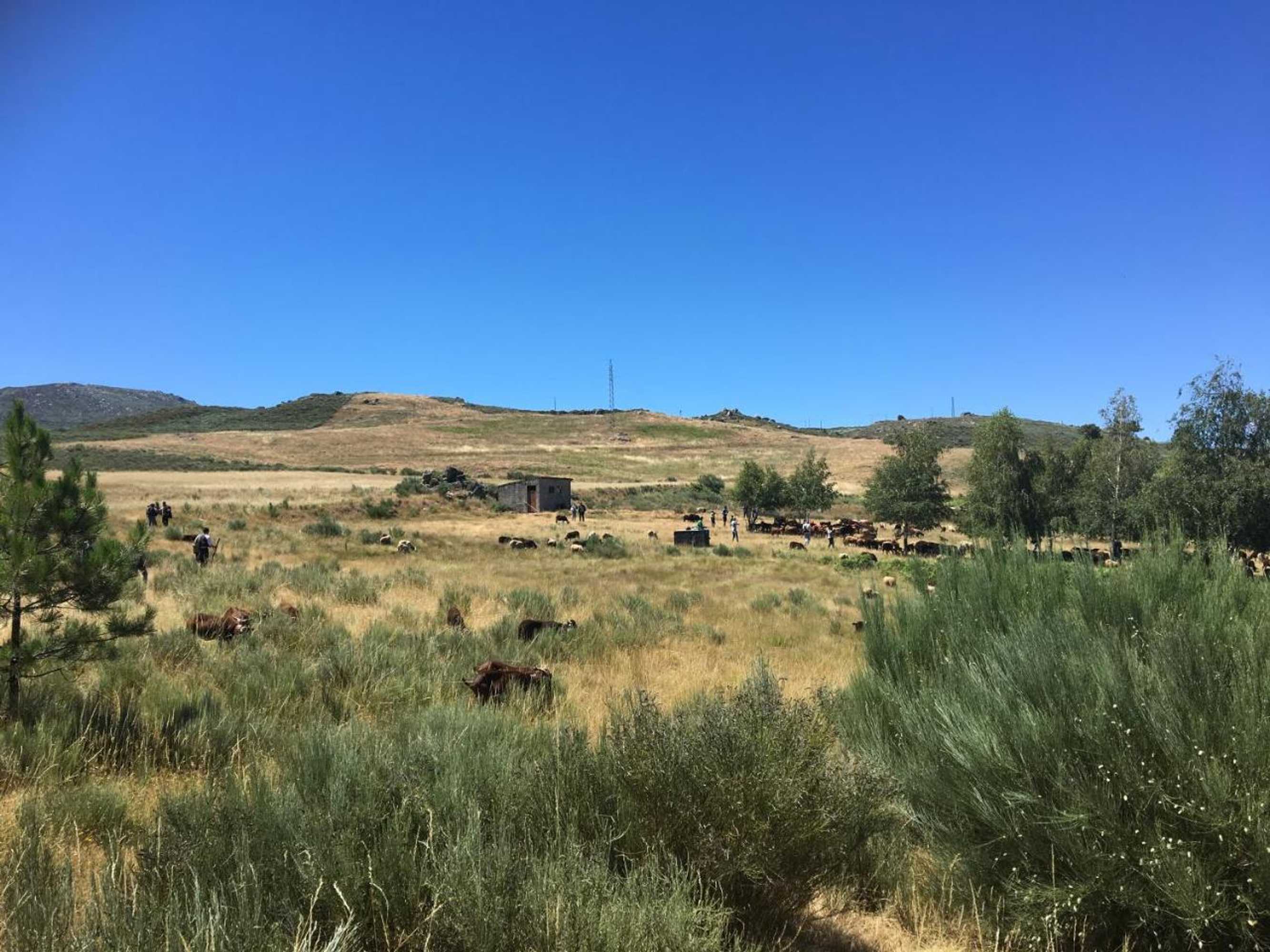 Gift card for Casas do Soito