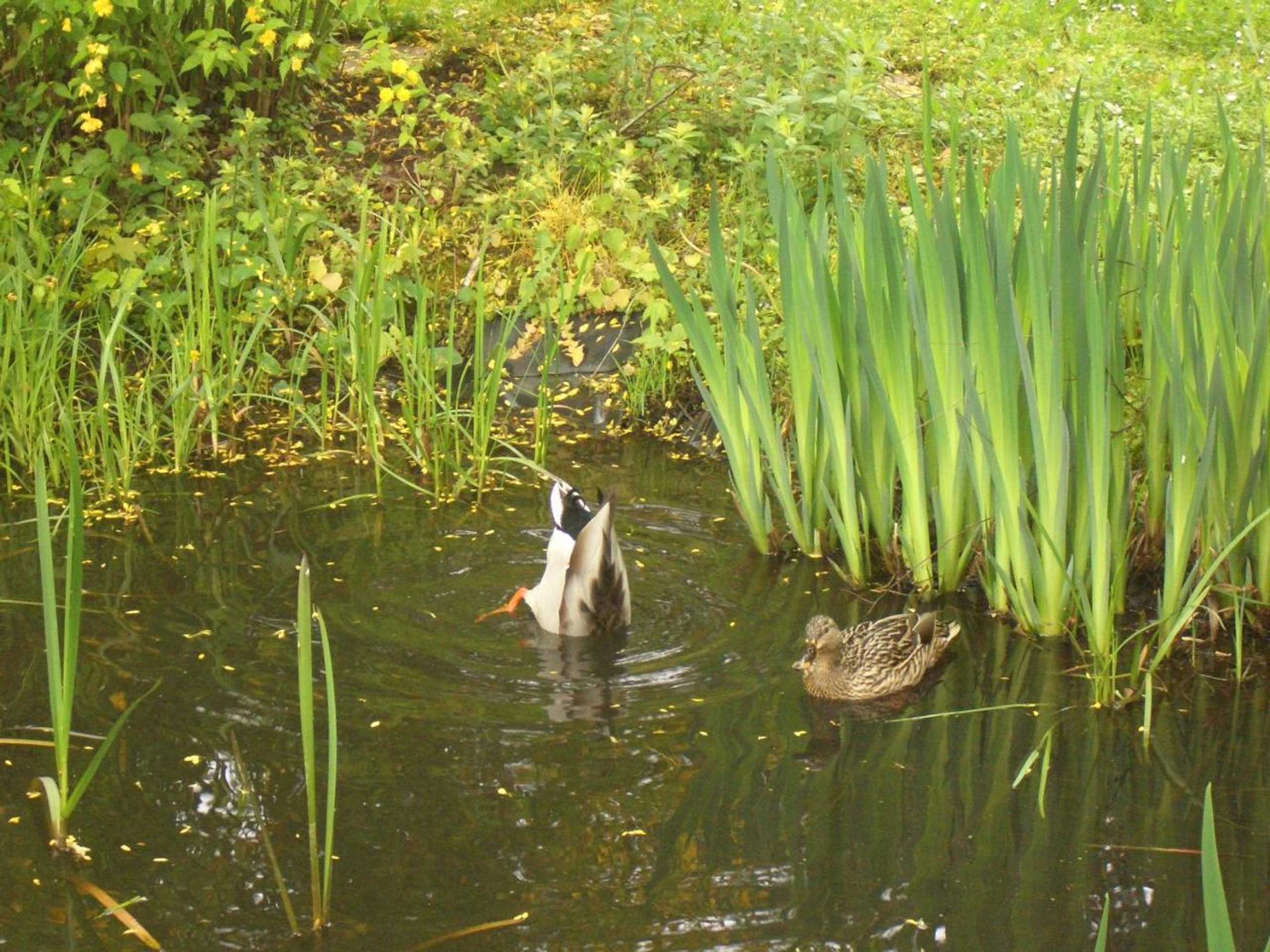 Gift card for Hotel Battenfeld