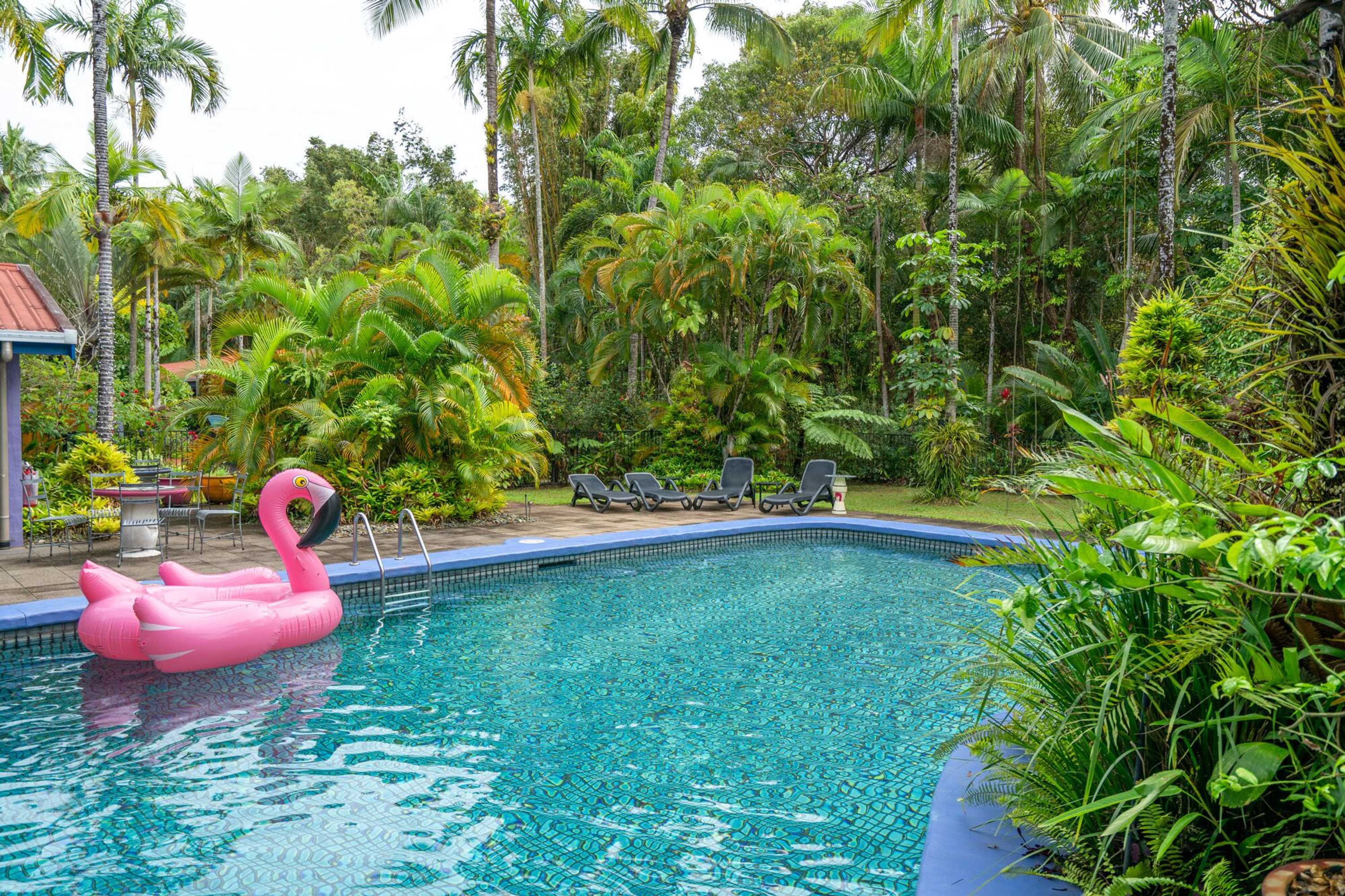 Gift card for Pink Flamingo Resort Gift card for Pink Flamingo Resort