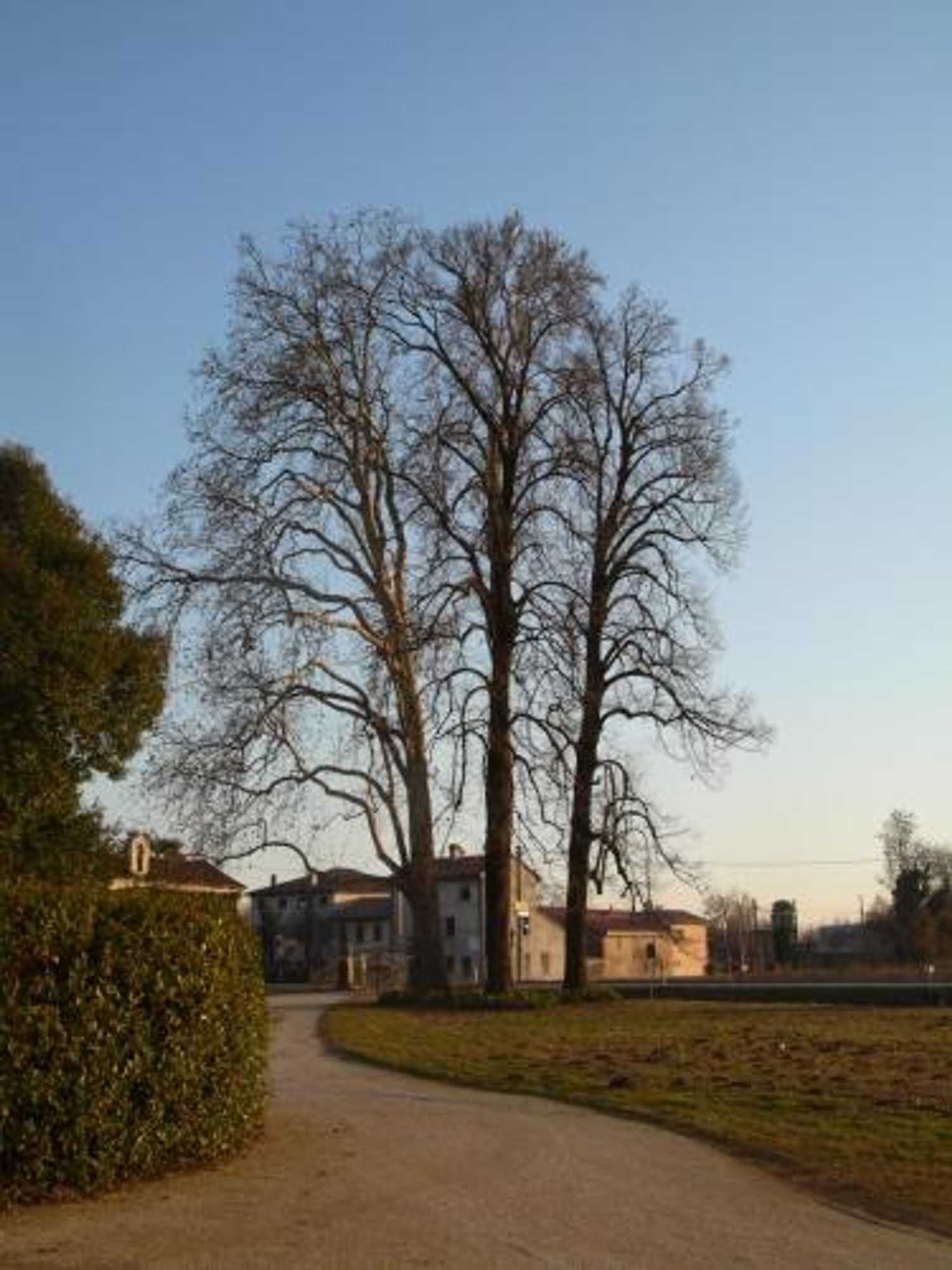 Gift card for B&b Giardino Jappelli (villa Ca' Minotto) Gift card for B&b Giardino Jappelli (villa Ca' Minotto)