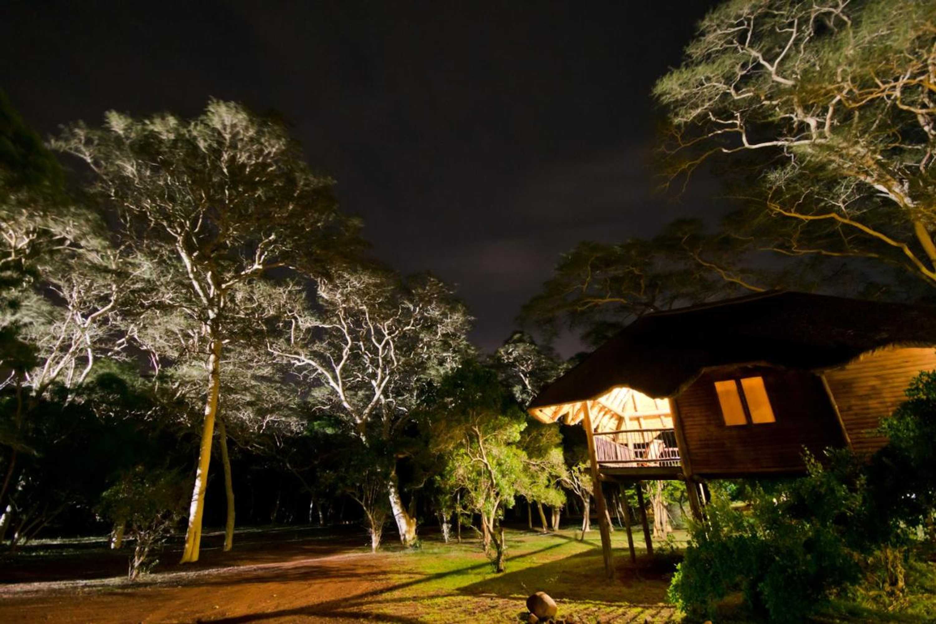Gift card for Ubizane Zululand Tree Lodge Gift card for Ubizane Zululand Tree Lodge