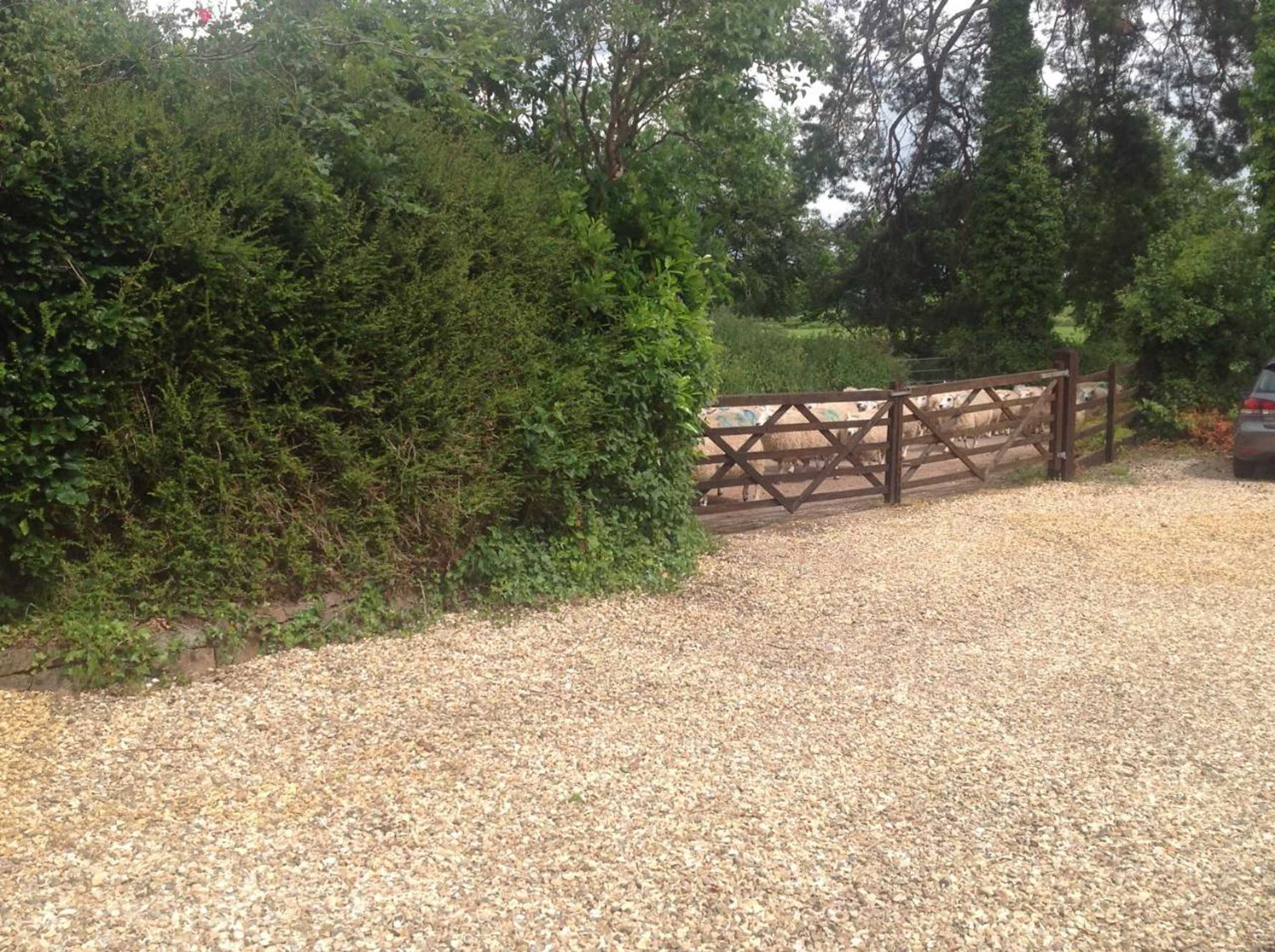 Gift card for Meadowview