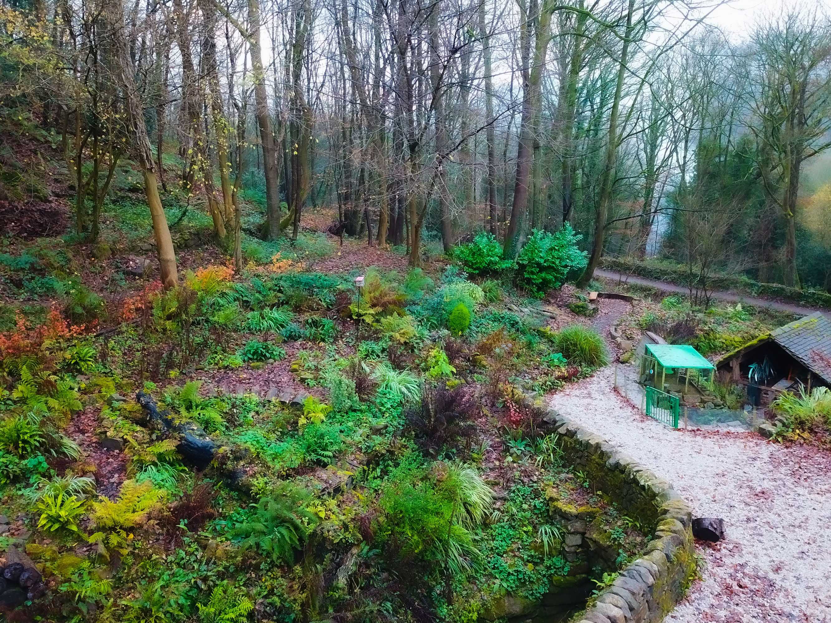 Gift card for Robin Hood Tower