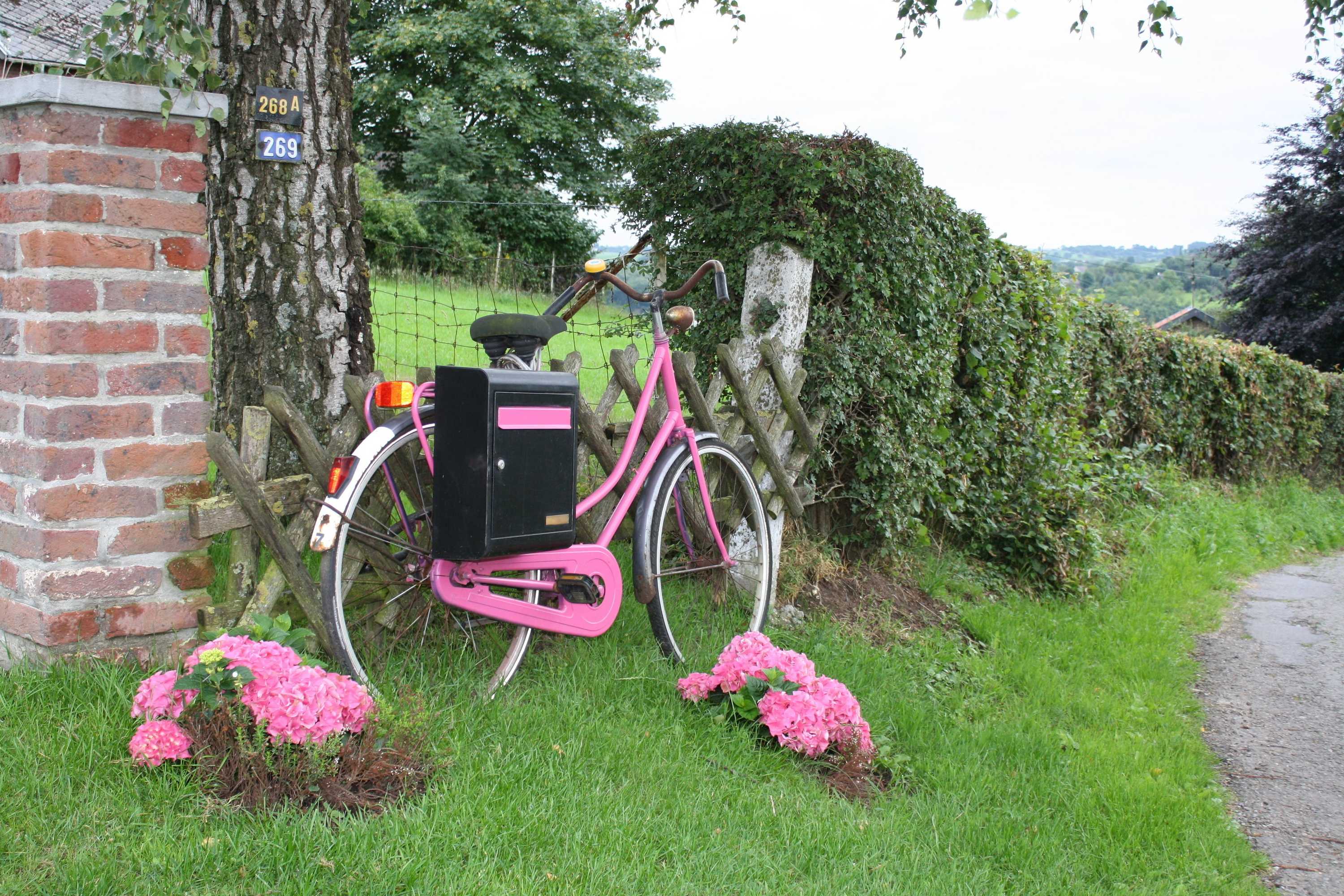 Gift card for Ô Macra