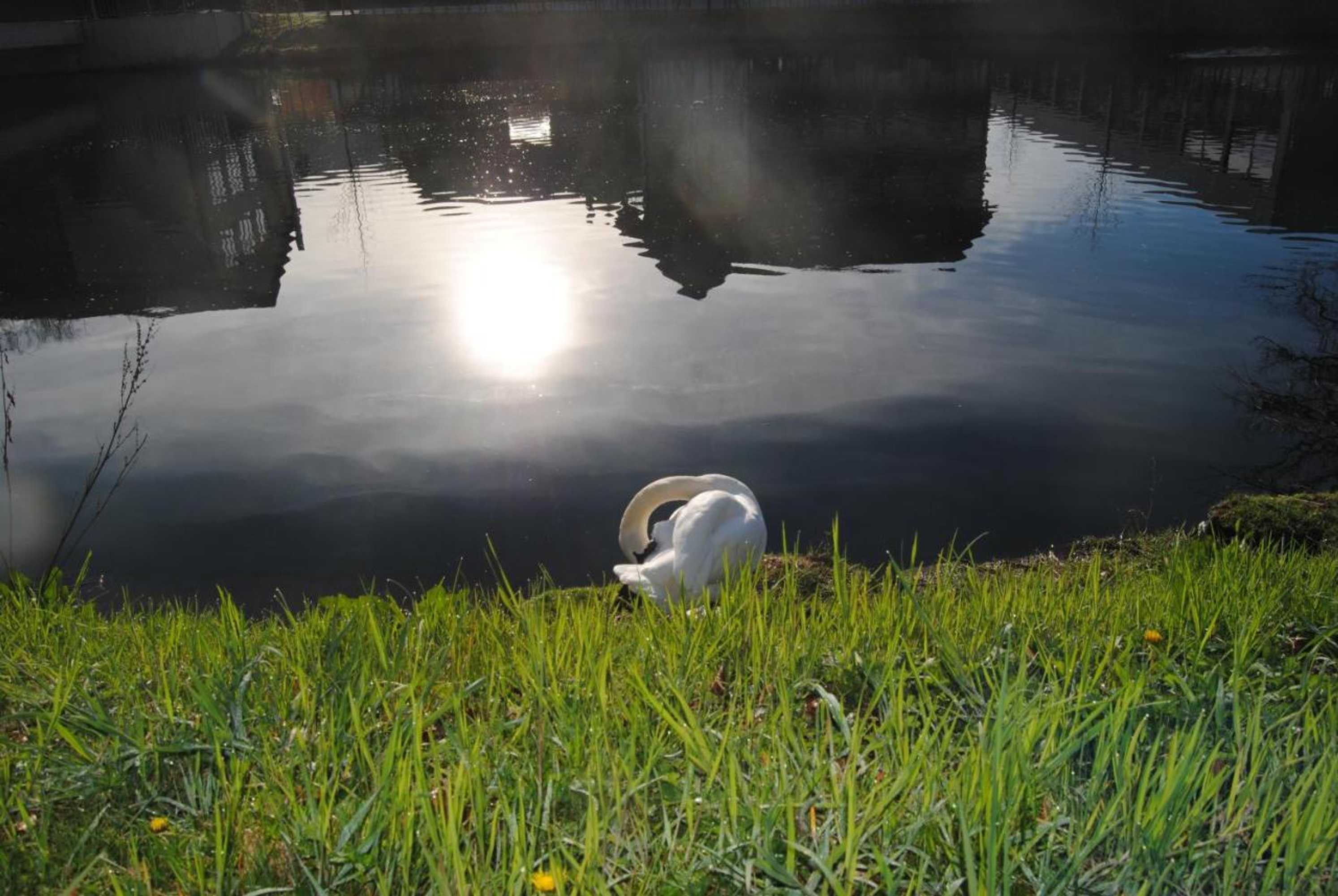 Gift card for Hotel Schiff Nagold