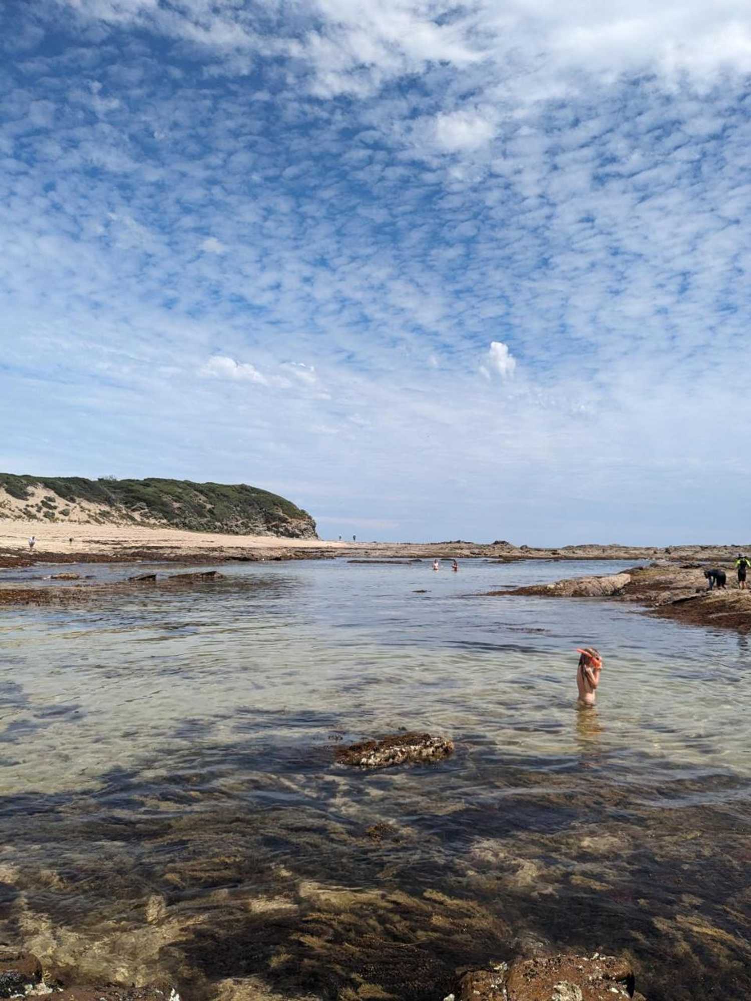 Gift card for River Drive Motel