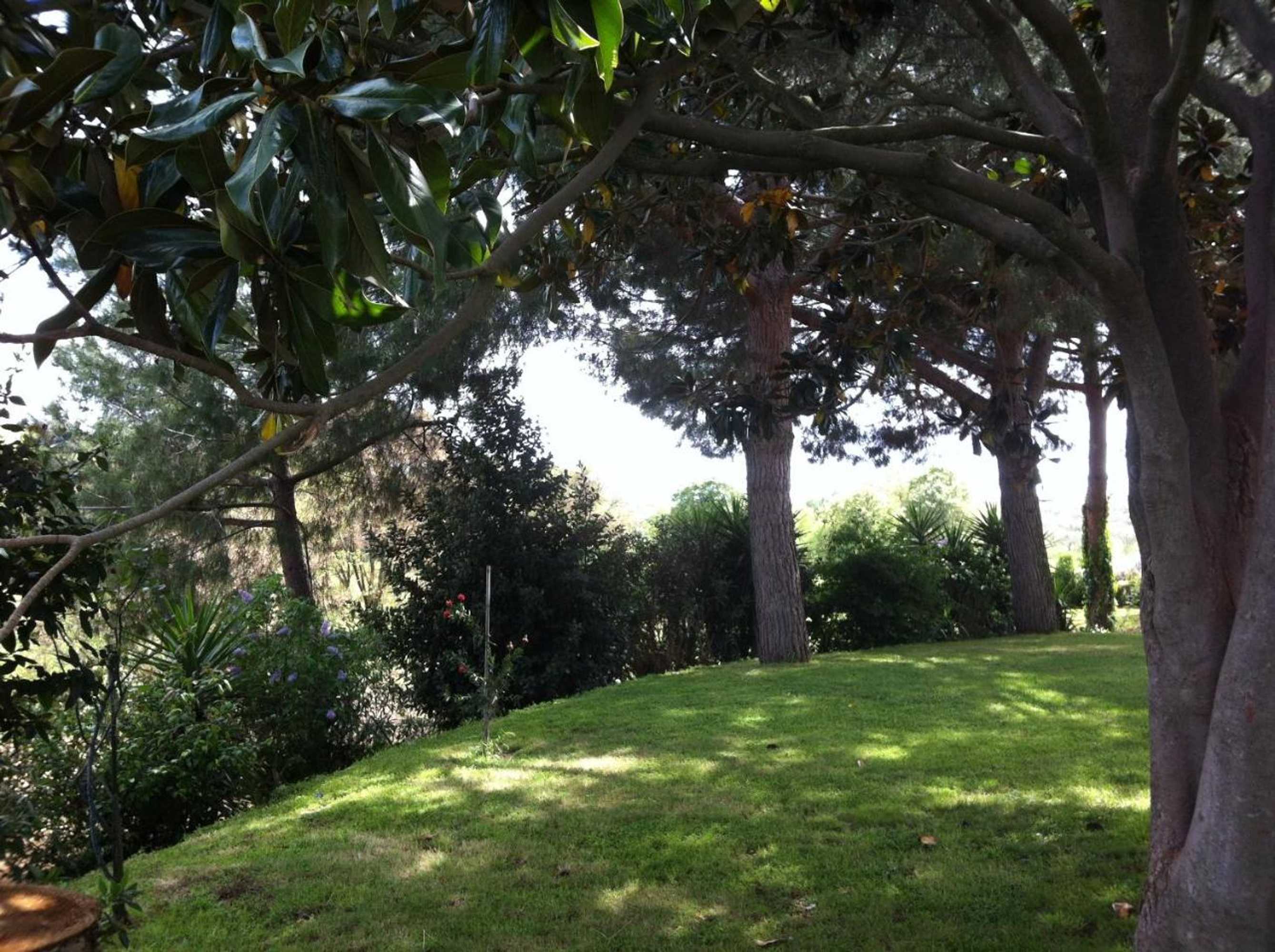 Gift card for La Finestra Sul Cortile