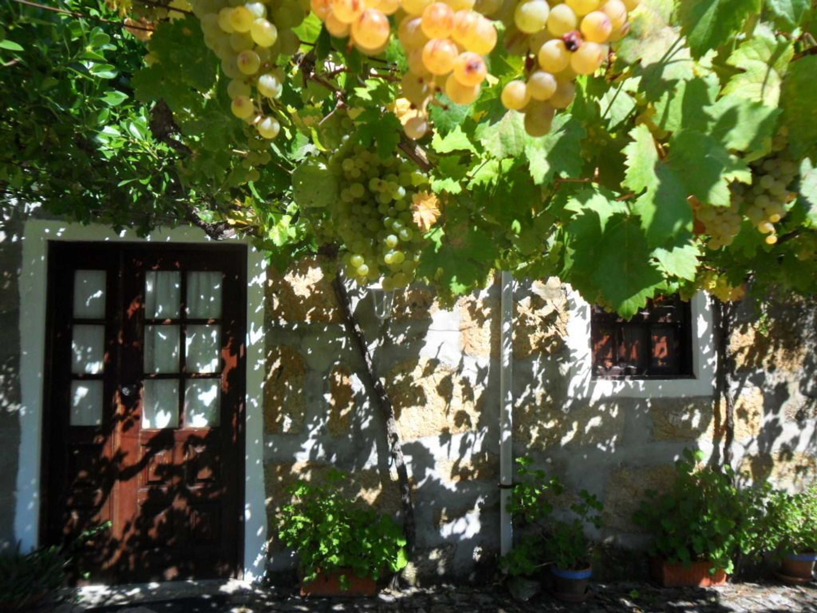 Gift card for Serrado de Bouças