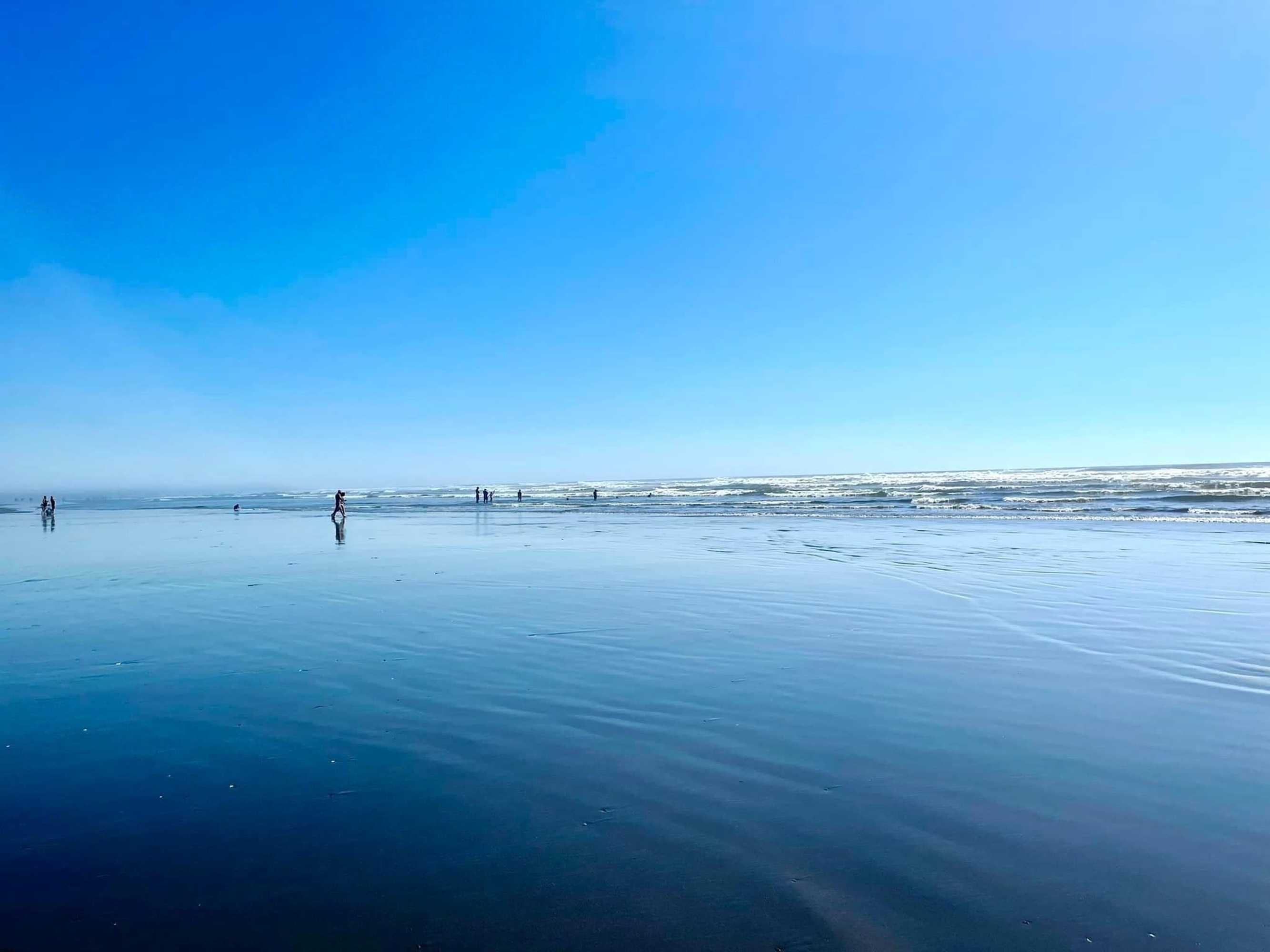 Gift card for Arena Del Mar