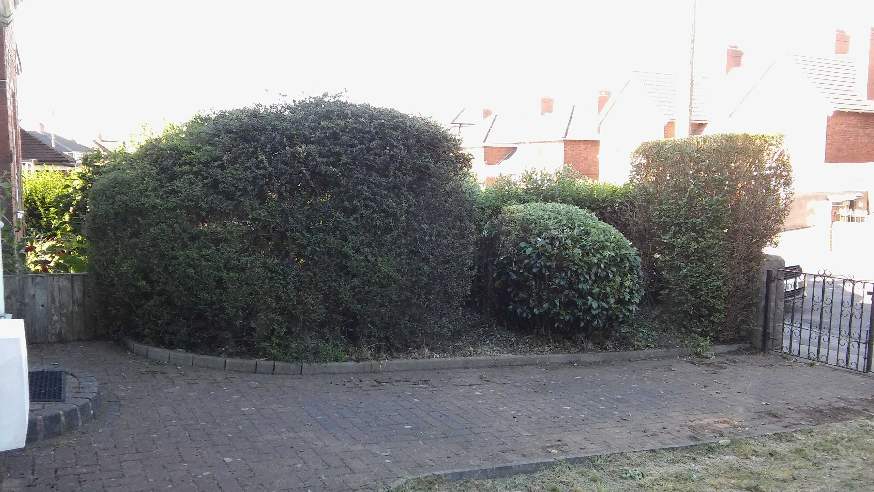 Gift card for Willodean