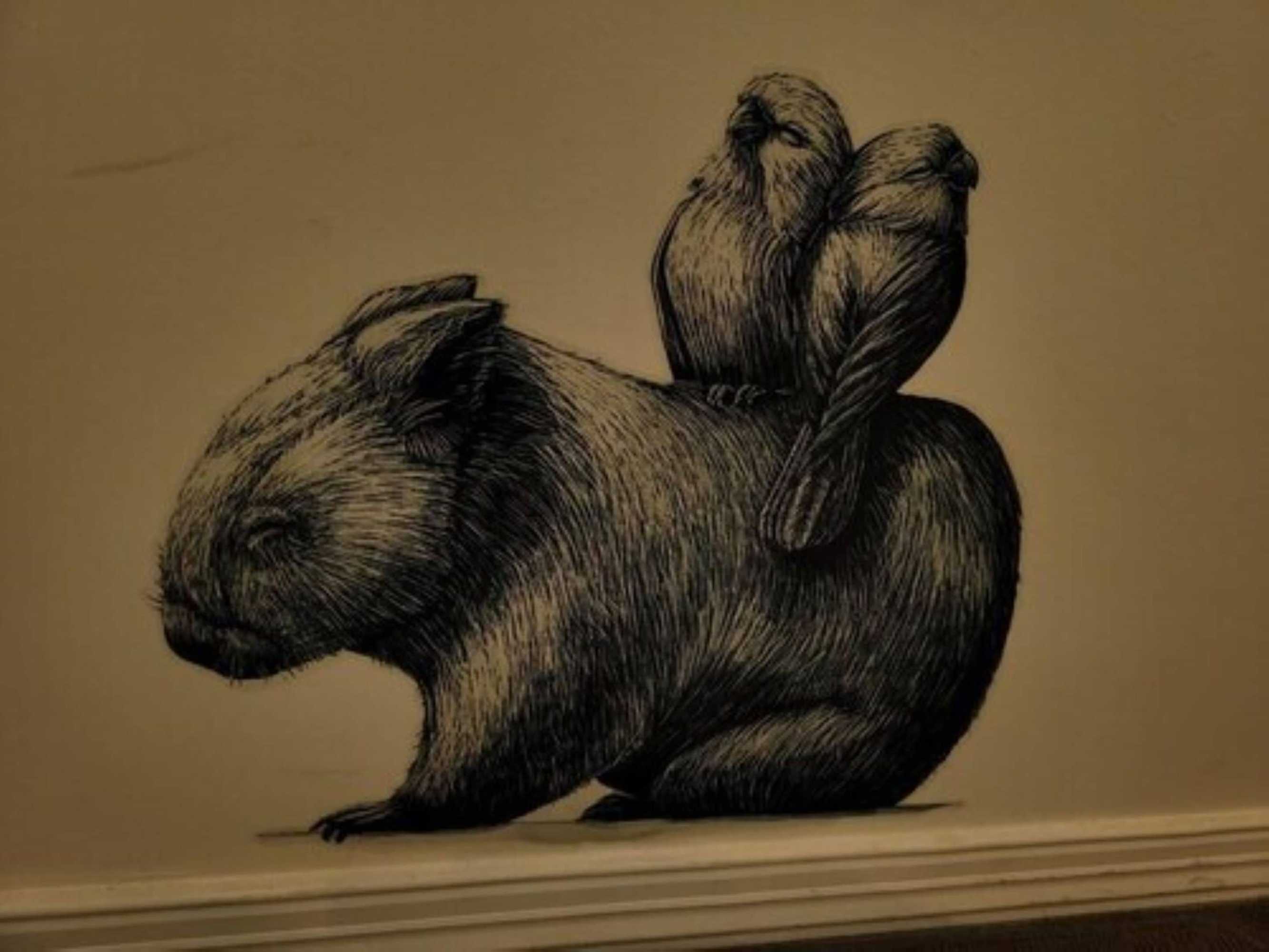 Gift card for Deville At Healesville