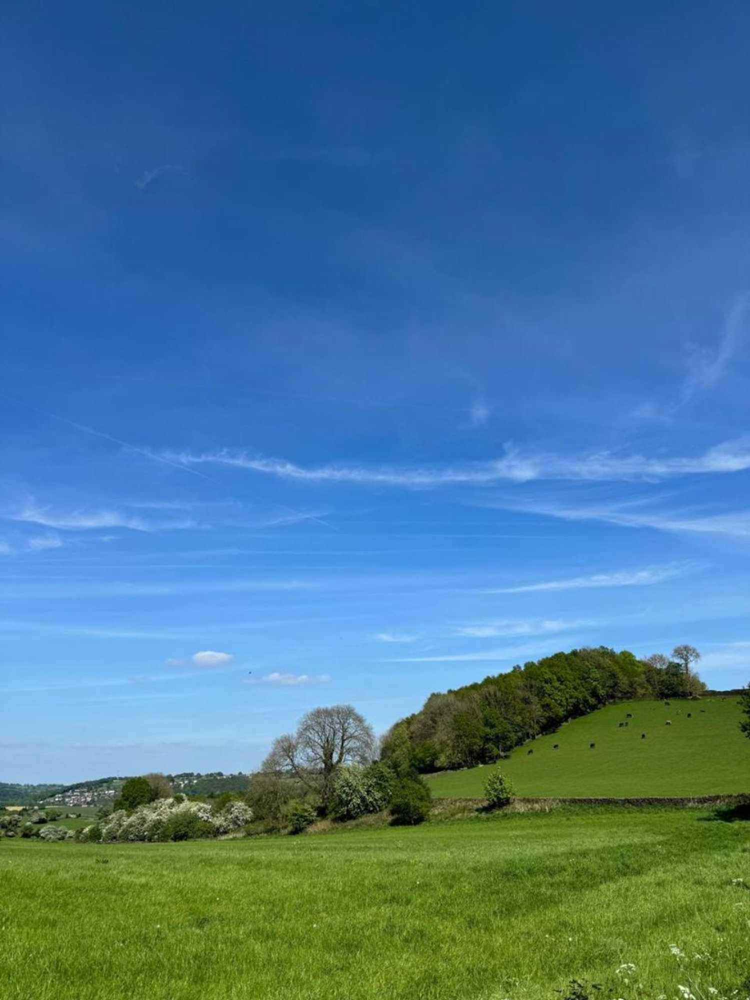 Gift card for Bulls Head