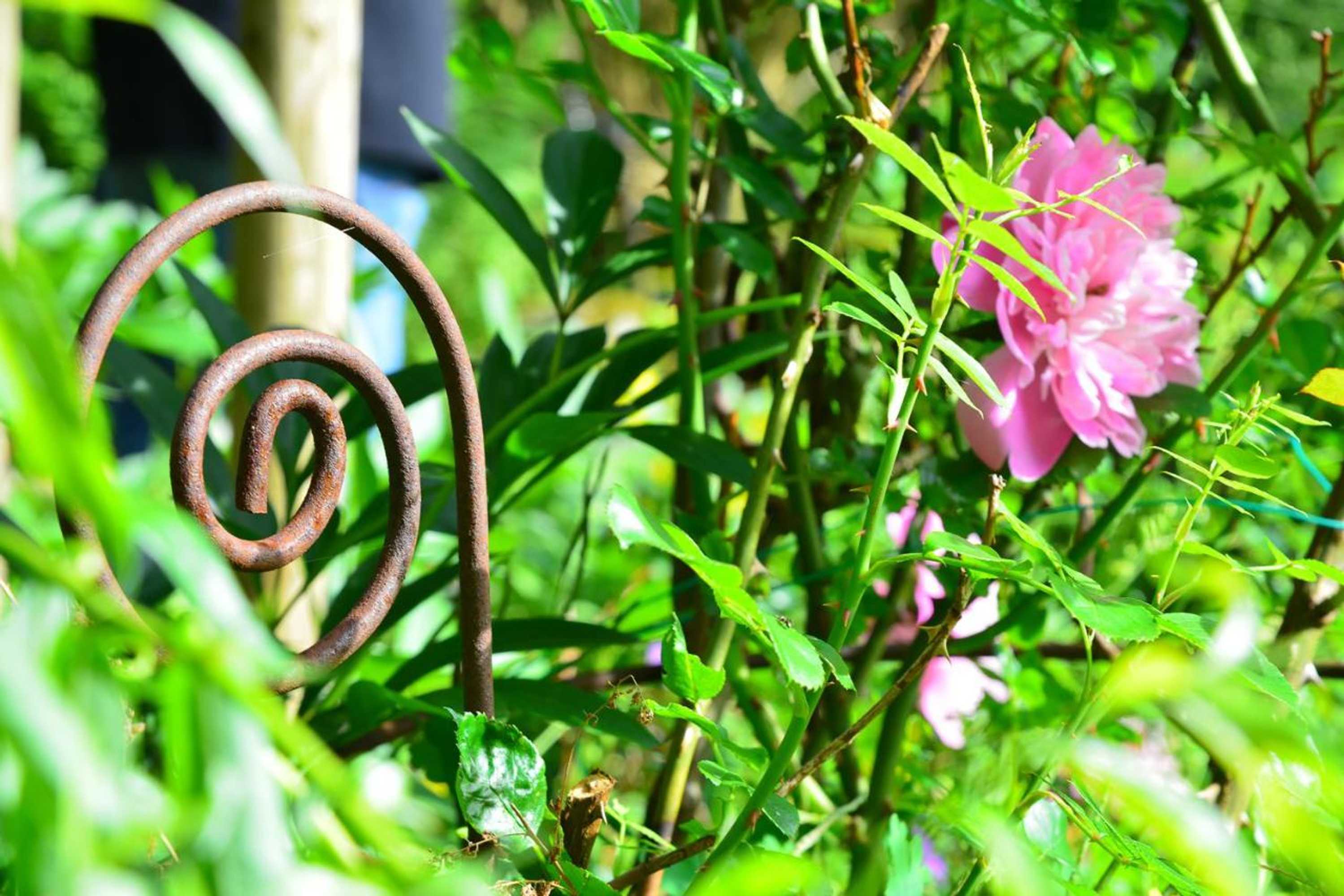 Gift card for Chalet Zauberberg