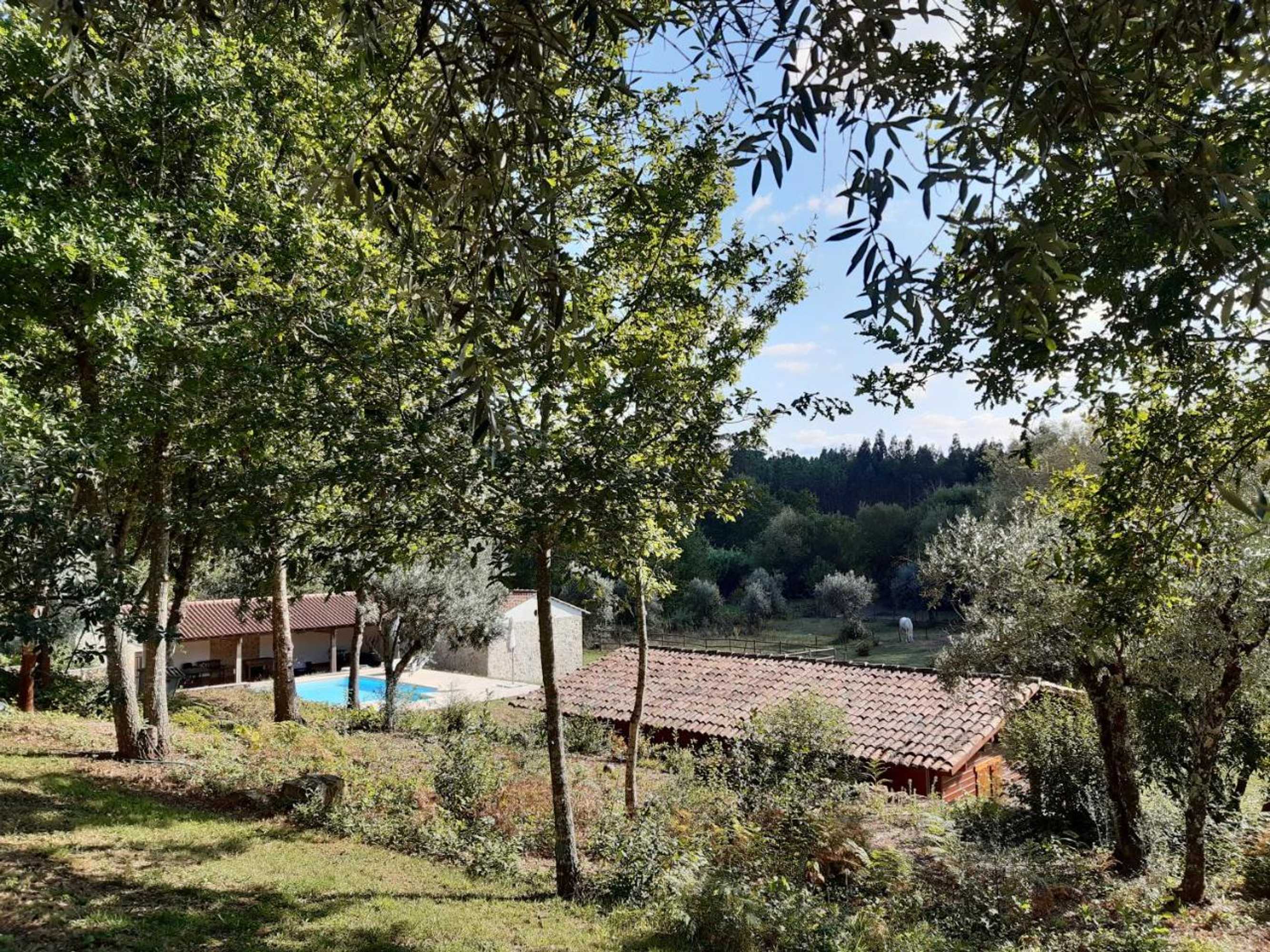 Gift card for Quinta no Pinhal